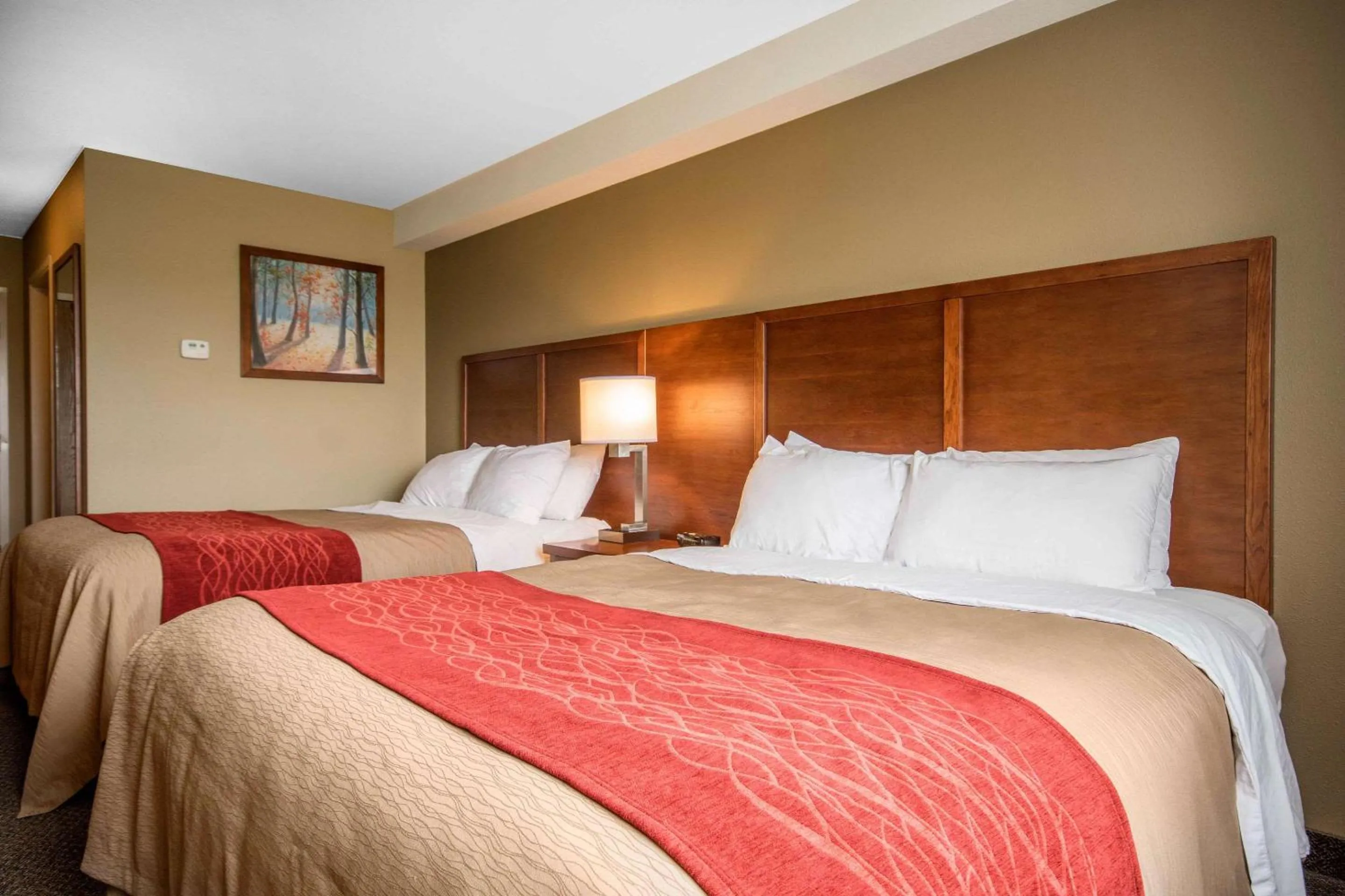 Queen Room with Two Queen Beds - Non-Smoking in Comfort Inn & Suites