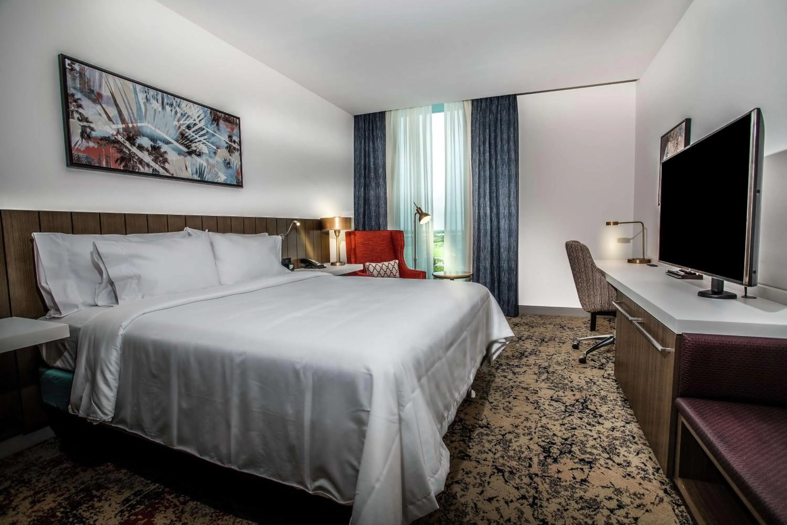 King Room with Accessible Tub - Mobility Access in Hilton Garden Inn West Palm Beach I95 Outlets