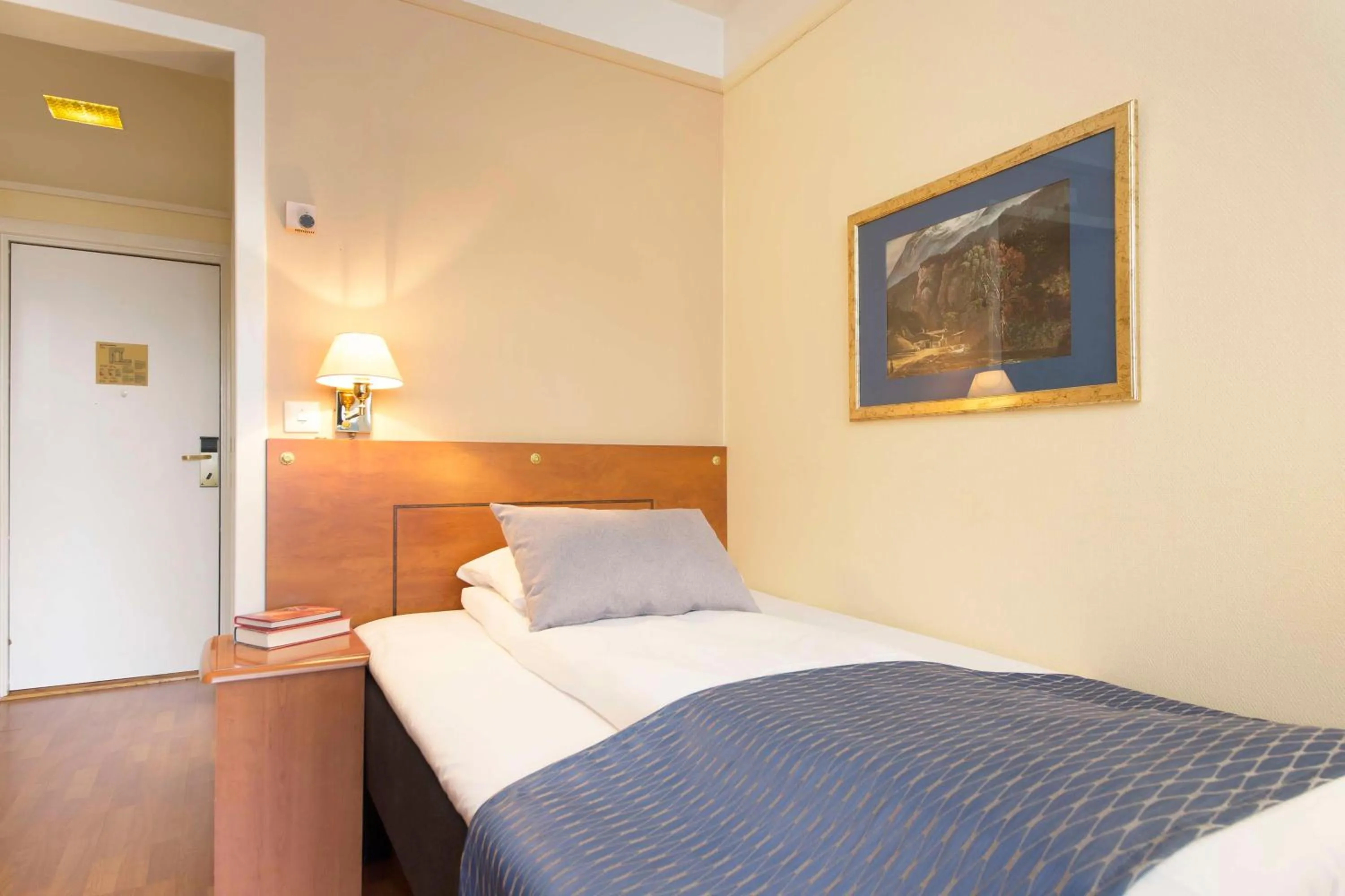 Single Room in Scandic Victoria Lillehammer