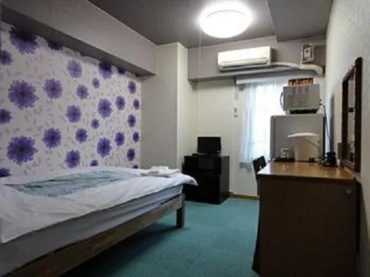 Double Room with Small Double Bed in Soho Asakusa Hotel