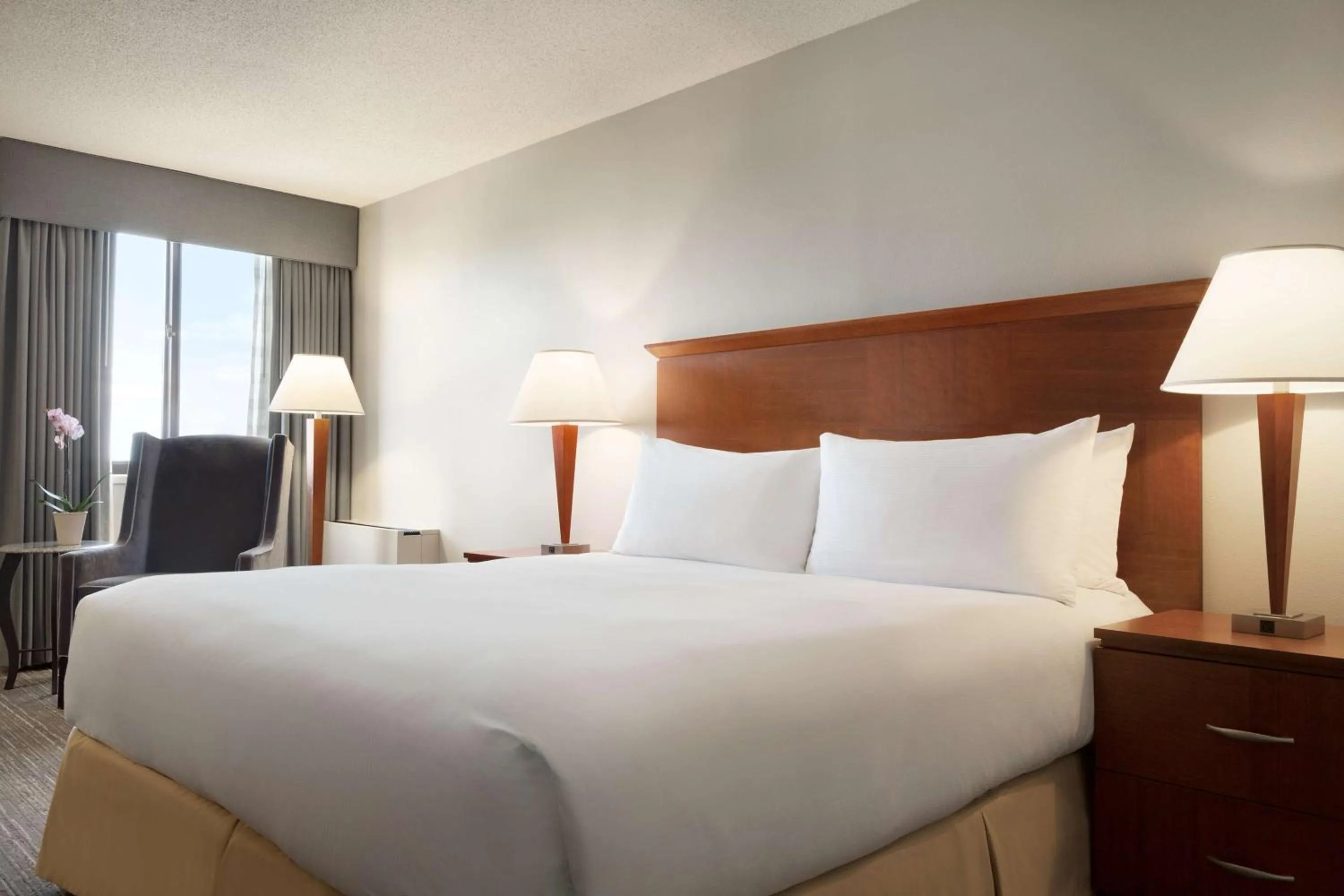 King Room in DoubleTree by Hilton Minneapolis Park Place