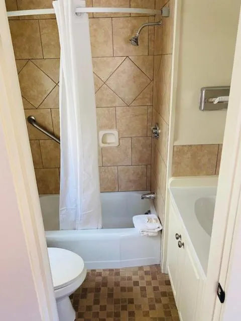 Fireside Cabin 1 King bed pet-friendly in Senator Inn & Spa