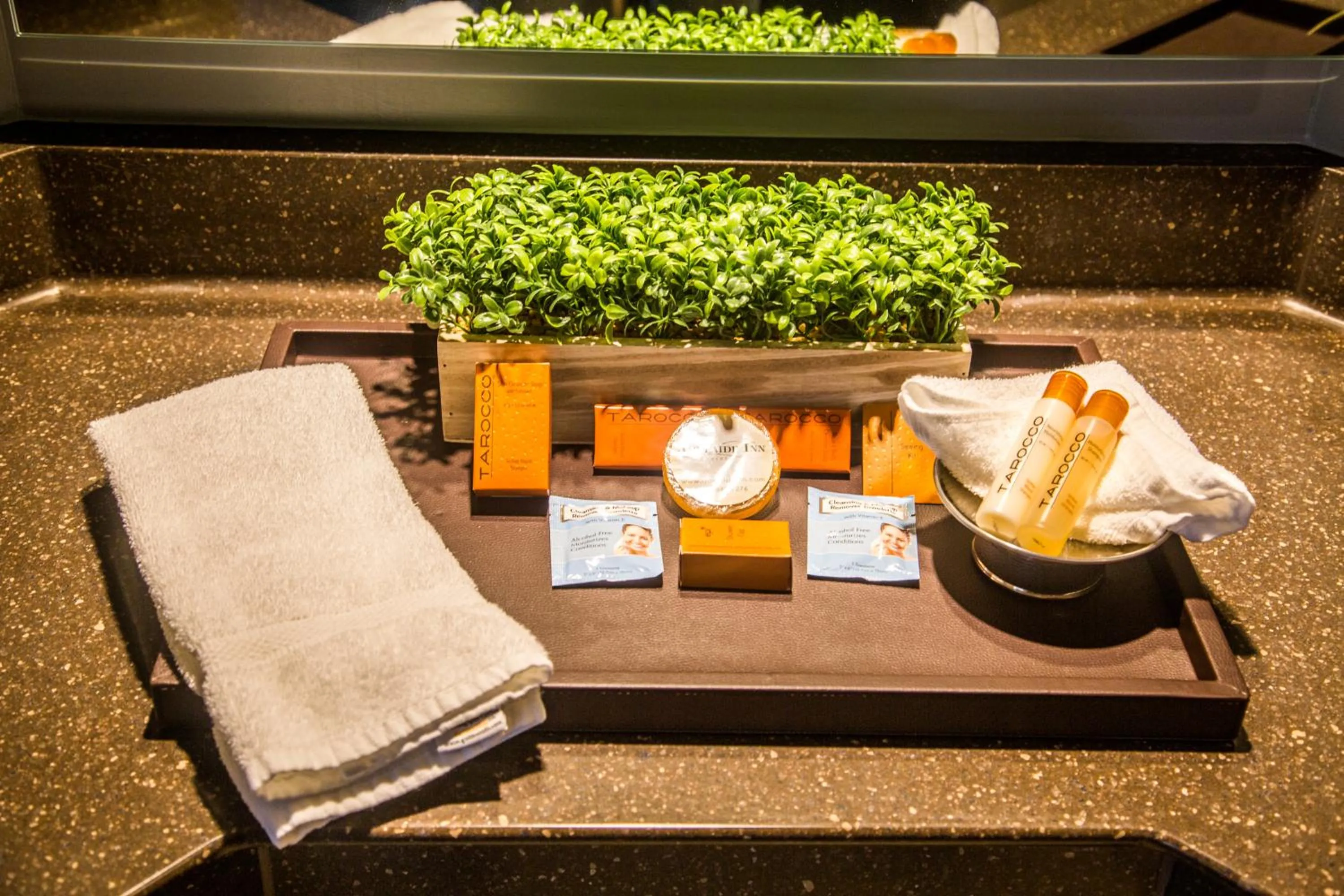 Queen Room with Two Queen Beds in Adelaide Inn