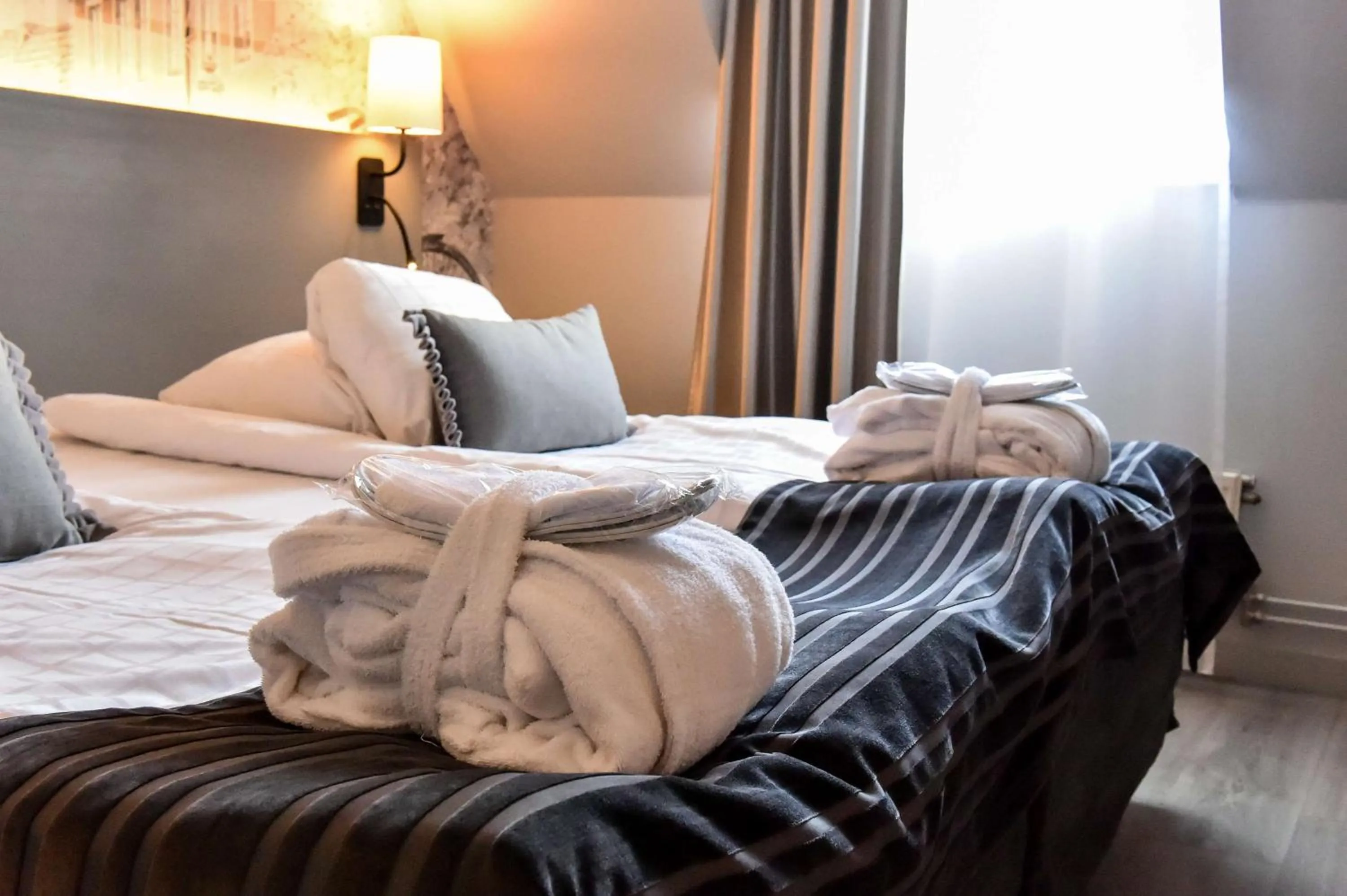 Superior King Room in Scandic Star Lund