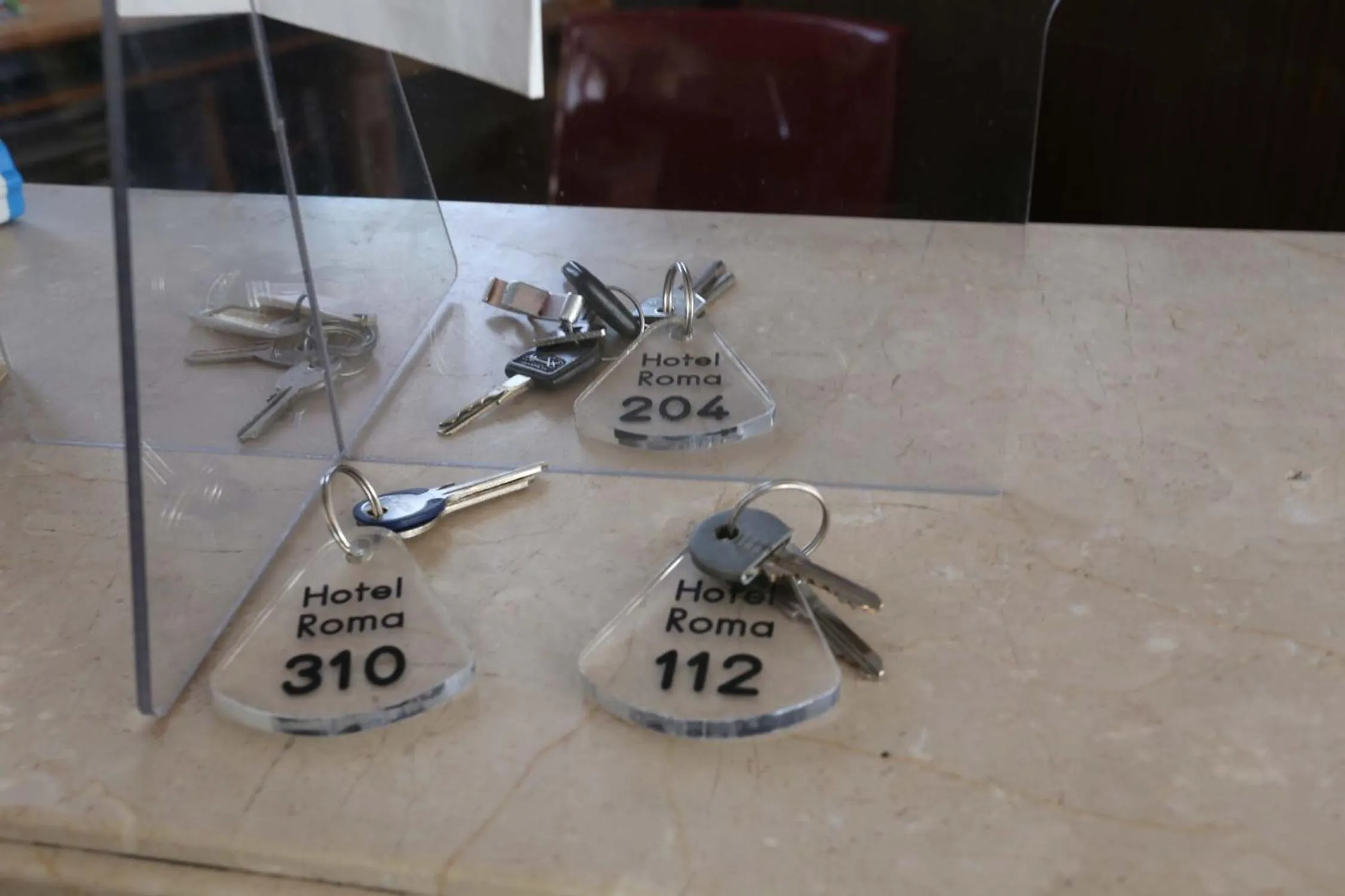 Single Room in Hotel Roma