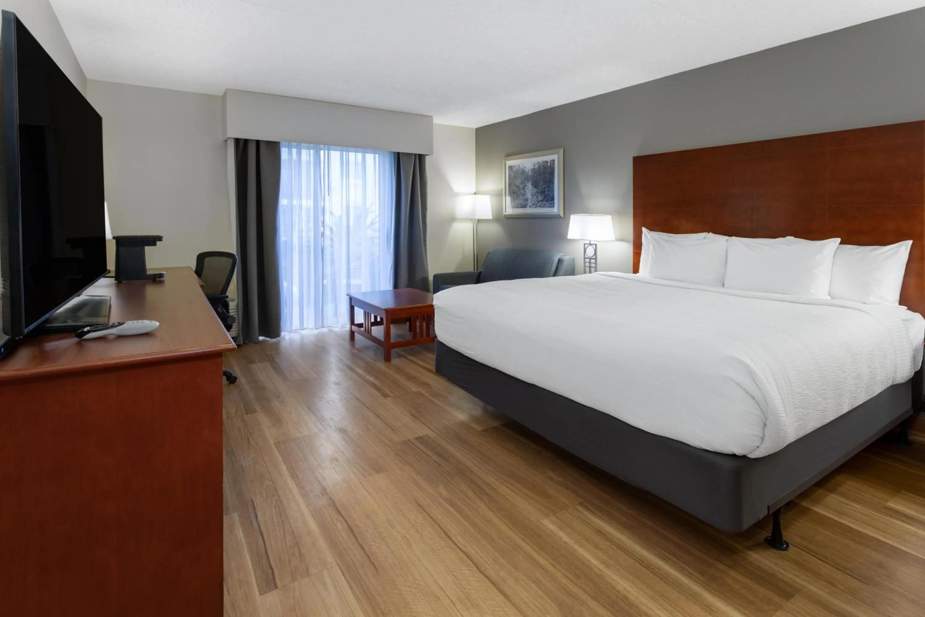 1 King Bed, Poolside, Non-Smoking in Wingate by Wyndham Valdosta/Moody AFB