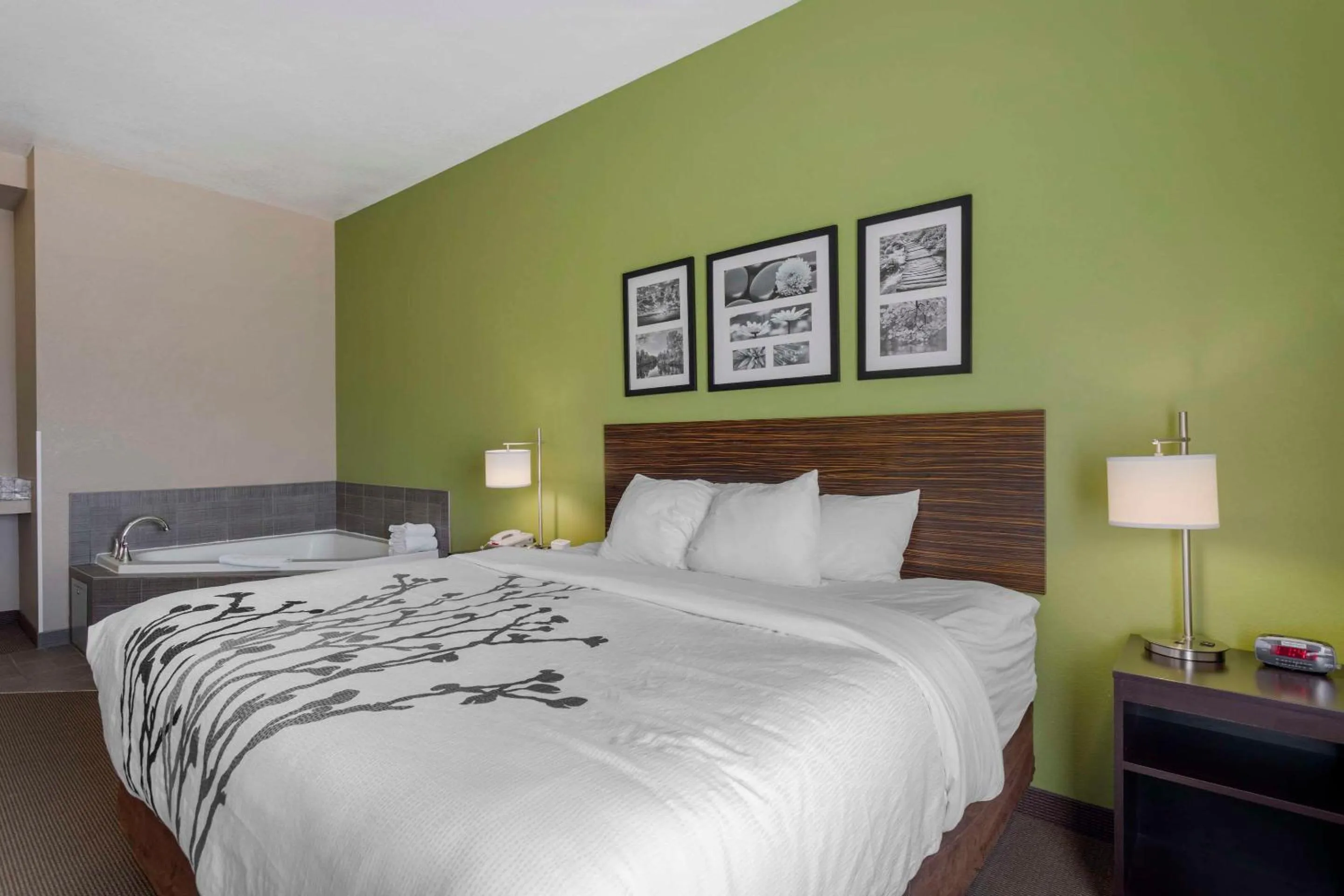 King Room - Non-Smoking in Sleep Inn & Suites Cave City