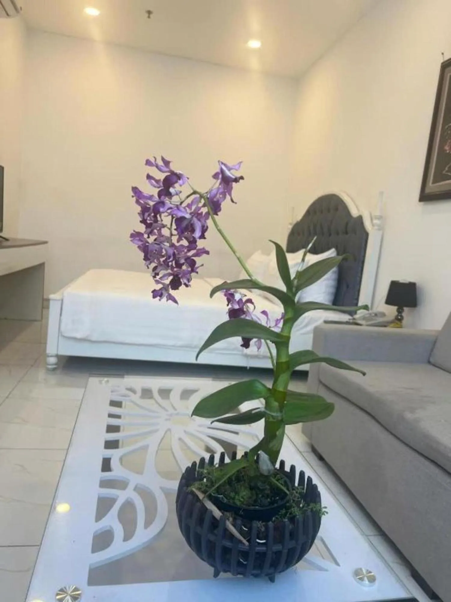 Deluxe Double Room in White Diamond Airport Hotel - TSN