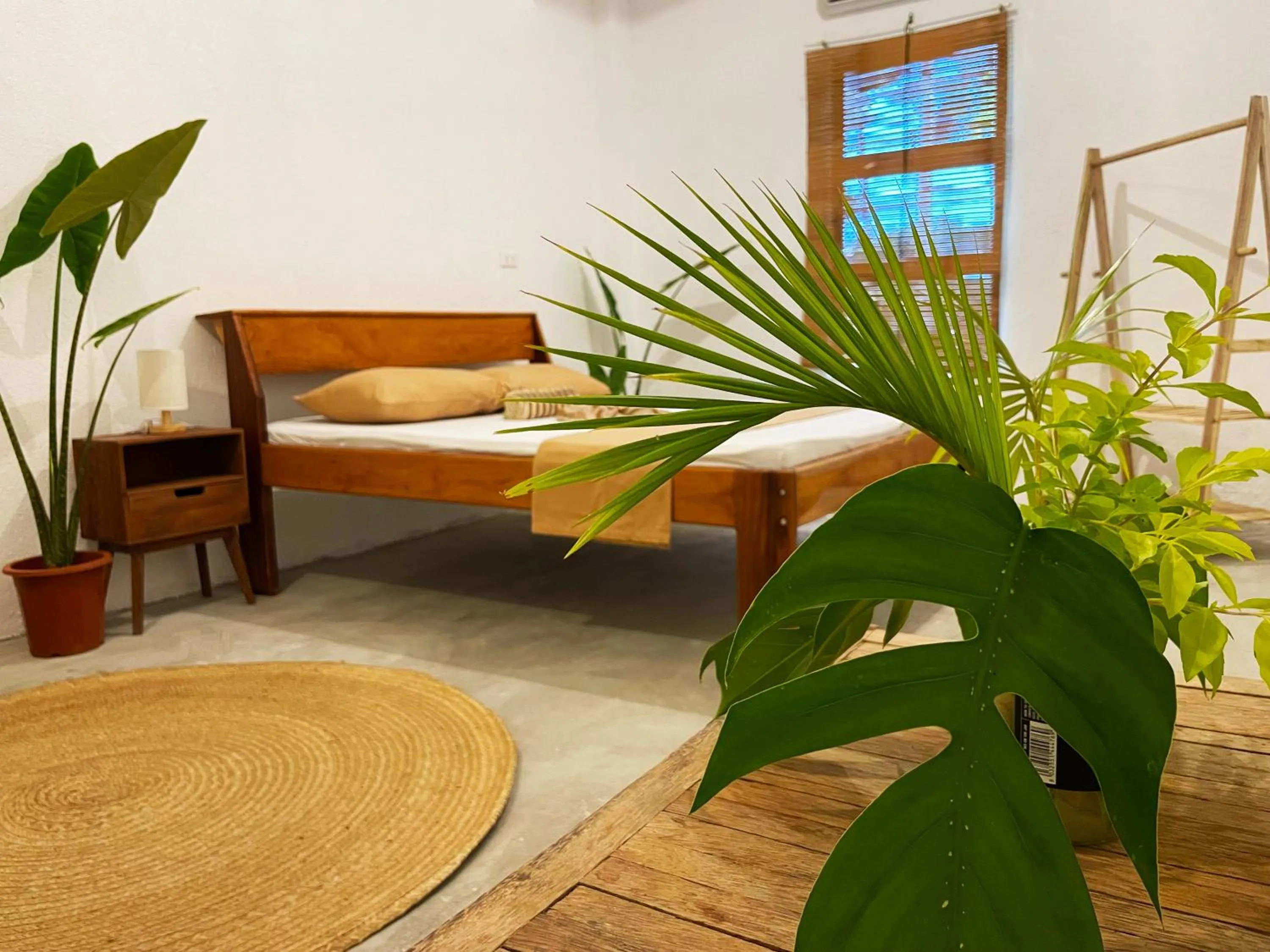 Queen Room with Shared Bathroom in Sunlit Hostel