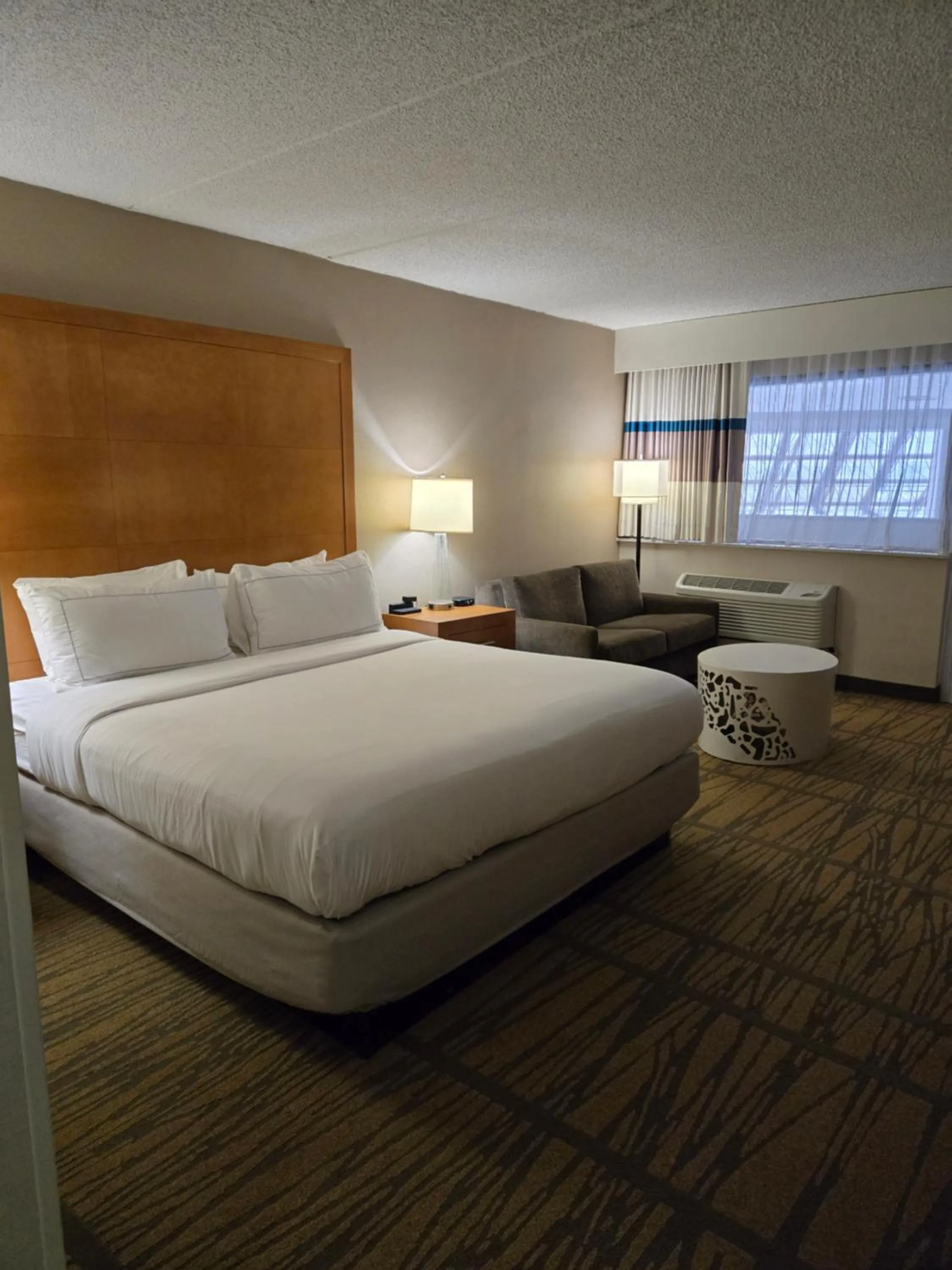 King Room with Bath Tub - Non-Smoking in DoubleTree by Hilton Rochester