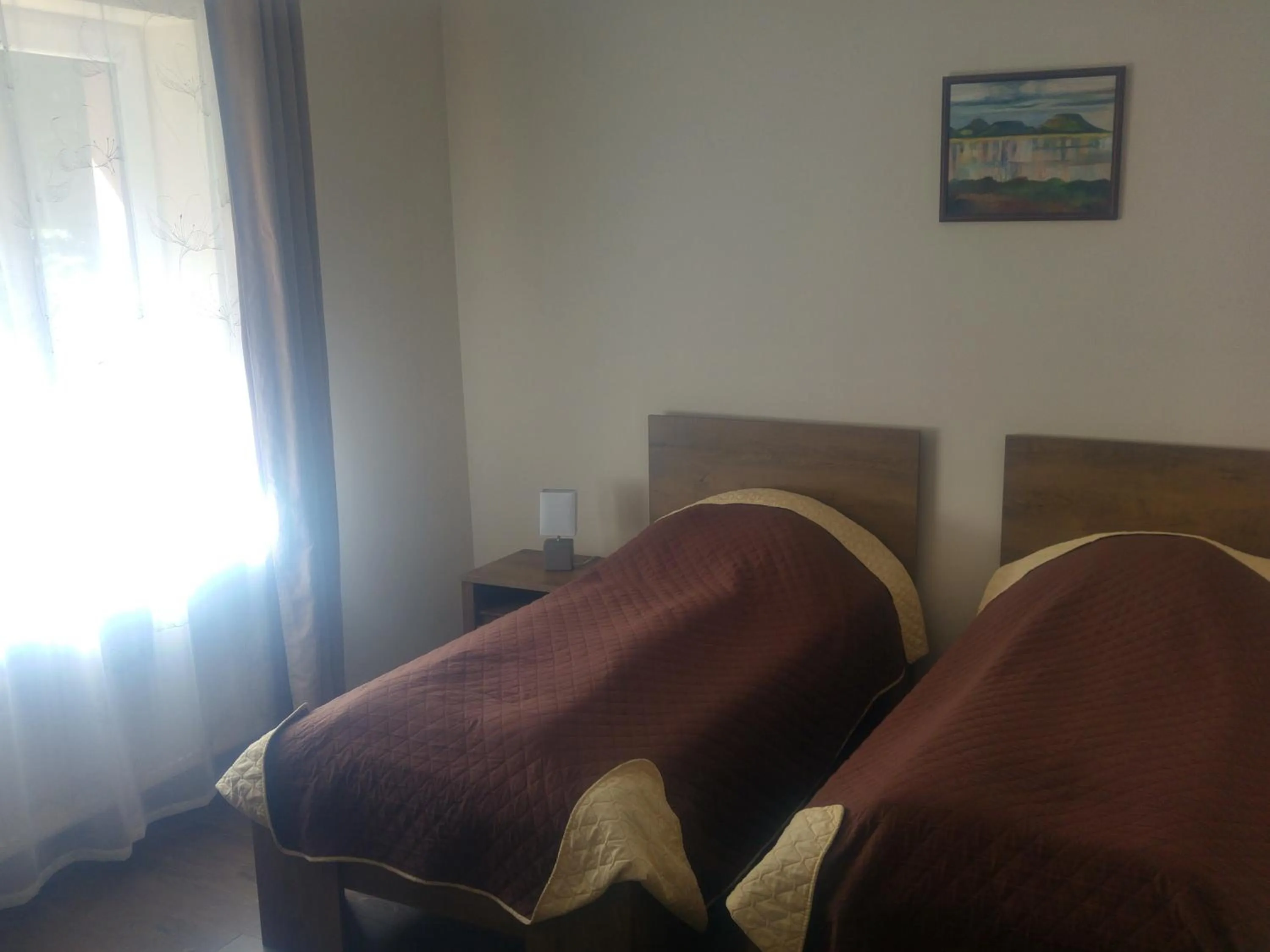 Standard Twin Room in Hotel Hunor