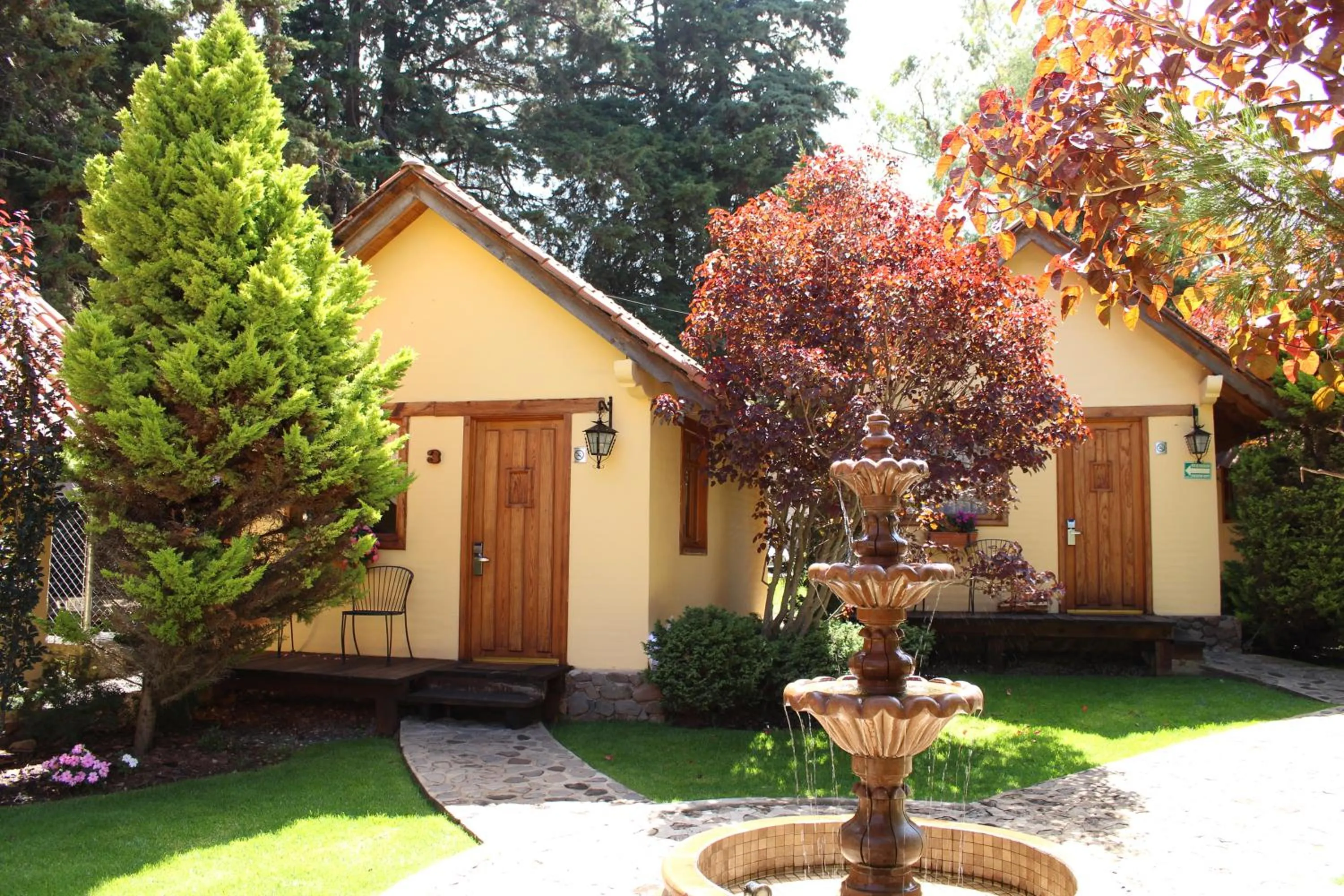 King Room - single occupancy in Cabañas Sierra Mazamitla