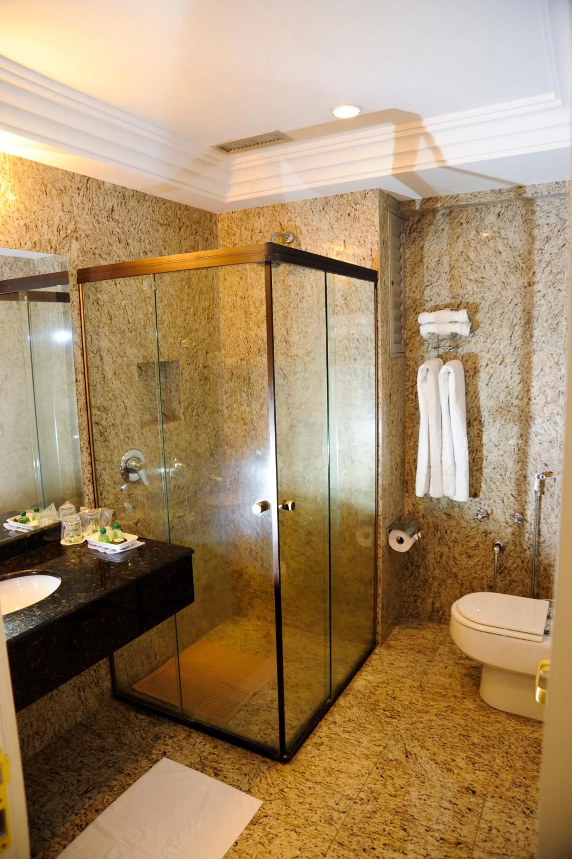 Deluxe Double Room in Hotel Bertaso