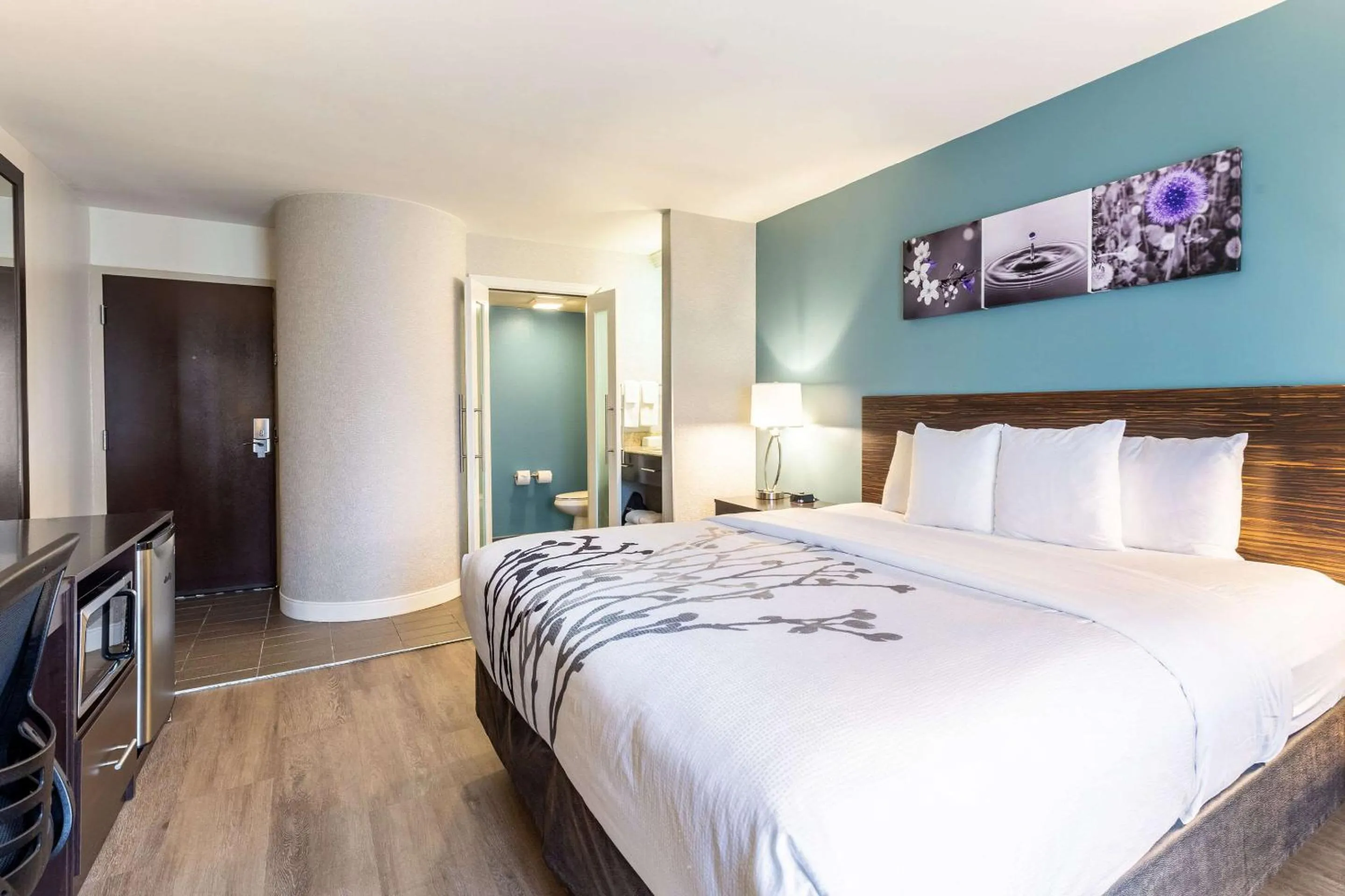 King Room with Gulf View - Non-Smoking in Sleep Inn Orange Beach