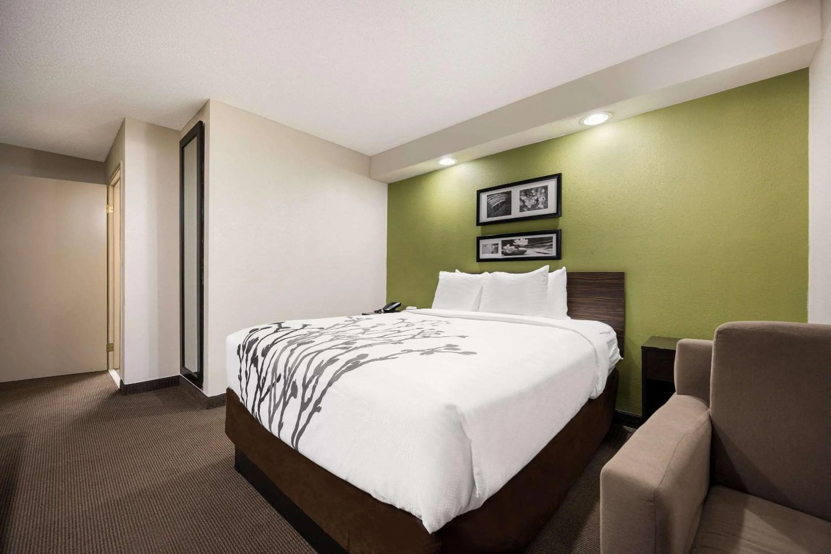 Queen Room - Disability Access/Non-Smoking in Sleep Inn Athens I-65