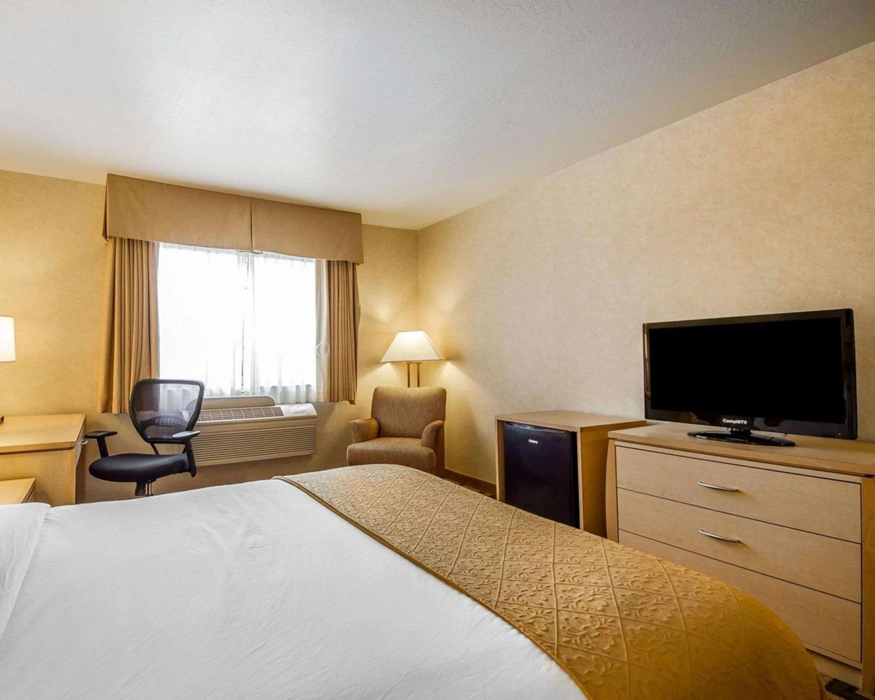 Superior Queen Room - Accessible/Non-Smoking in Quality Inn Petaluma - Sonoma