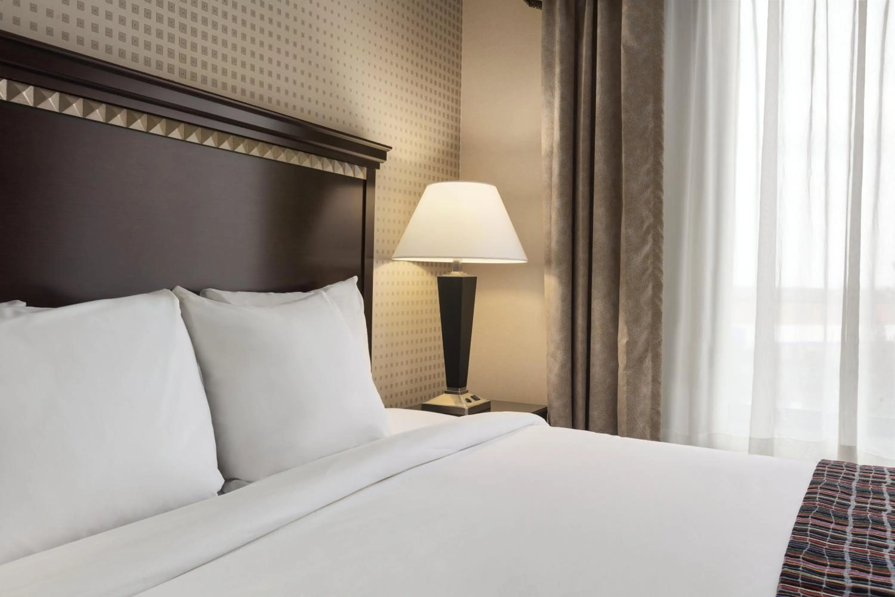 Studio Suite with Two Double Beds in University Hotel Davis Area by IHG