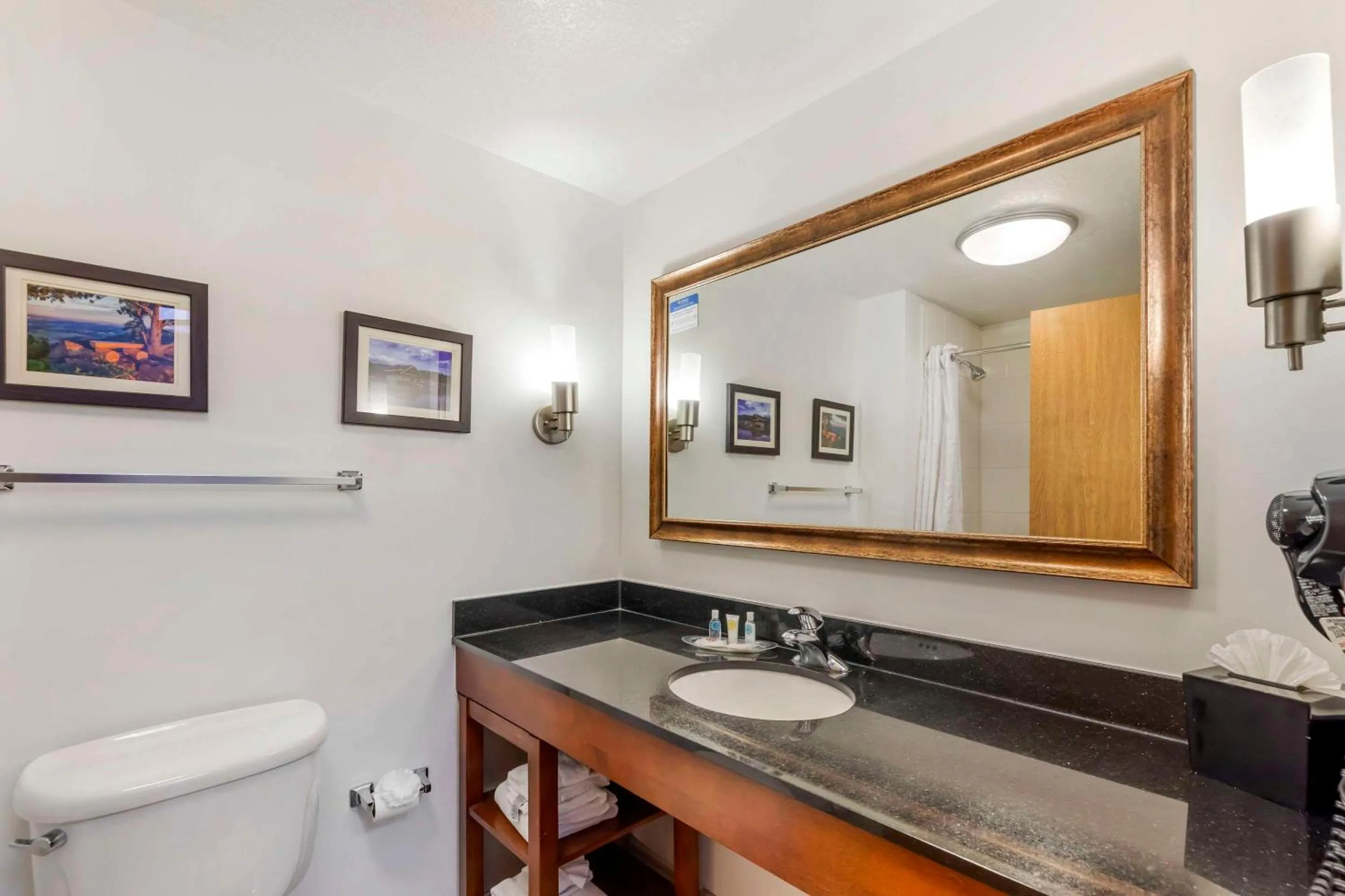 Business King Suite with Sofa Bed and Hot Tub - Non Smoking in Comfort Suites Longmont