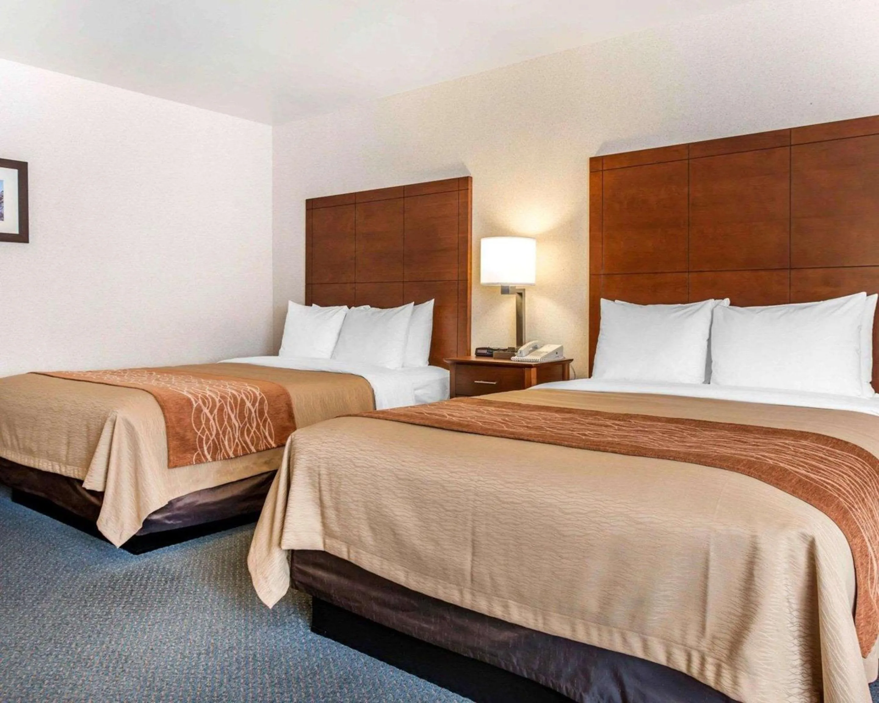Queen Room with Two Queen Beds - Non-Smoking in Comfort Inn Salida