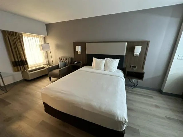 Queen Room - Accessible/Nonsmoking in Comfort Inn Conyers