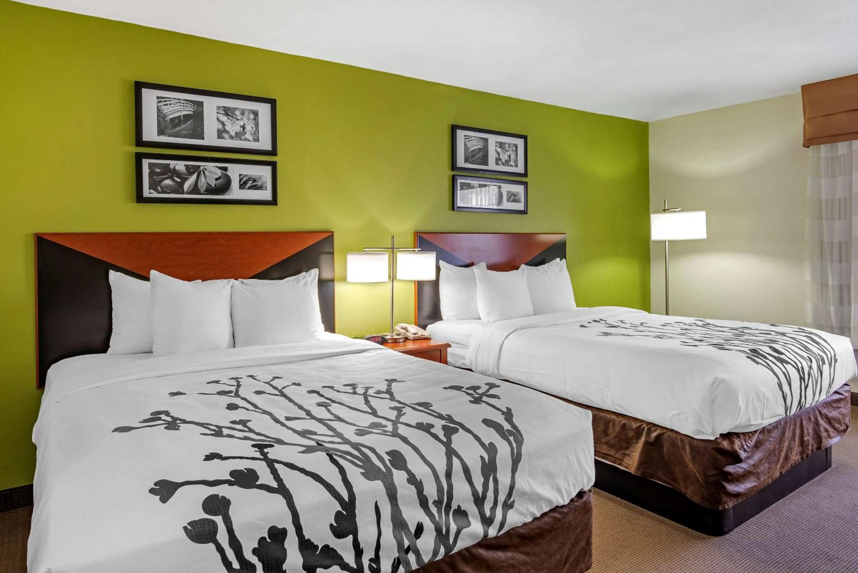 Queen Room with Two Queen Beds - Non-Smoking in Sleep Inn & Suites Stockbridge Atlanta South