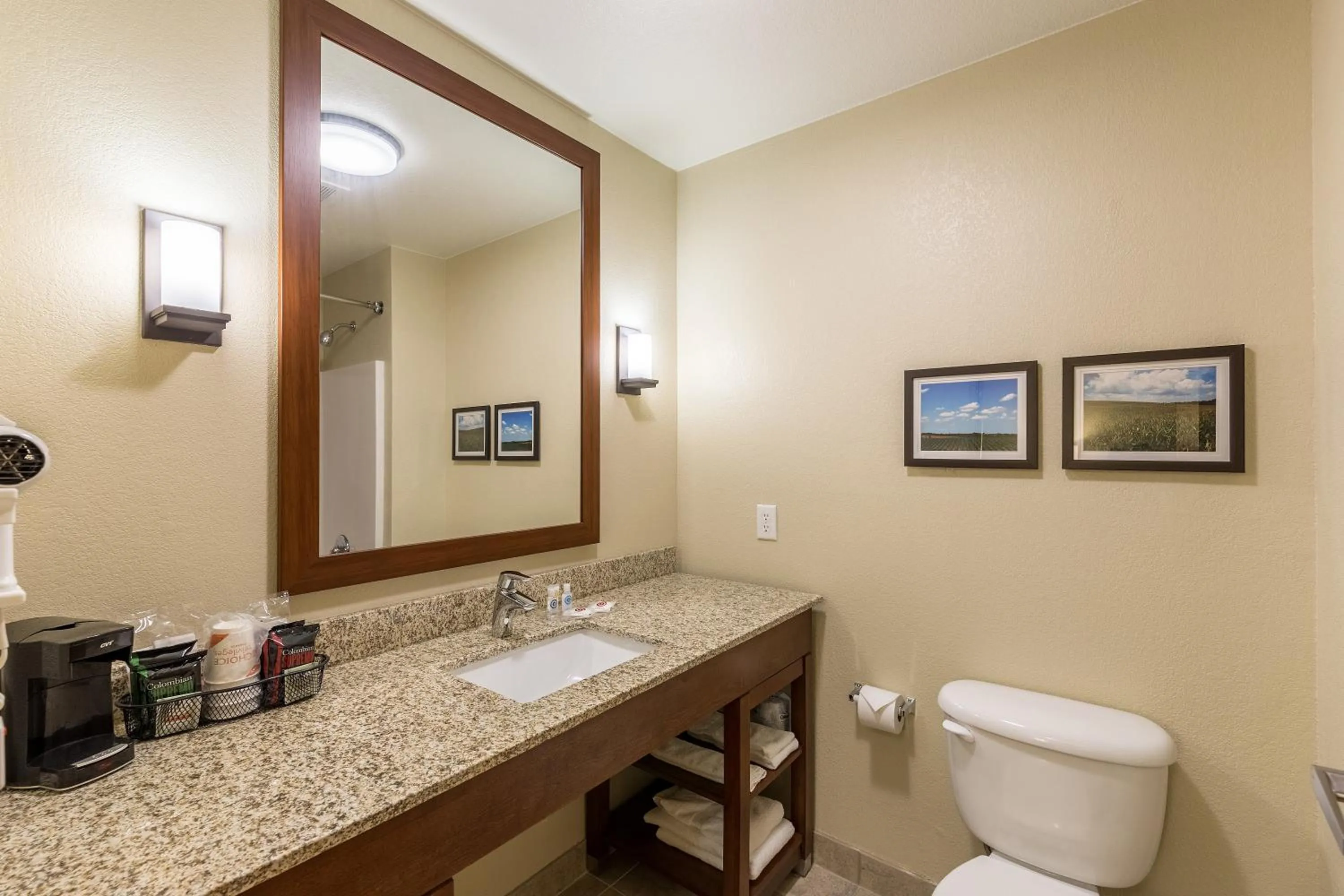 Queen Suite Upgrade - Accessible/Non-Smoking in Comfort Suites Burlington