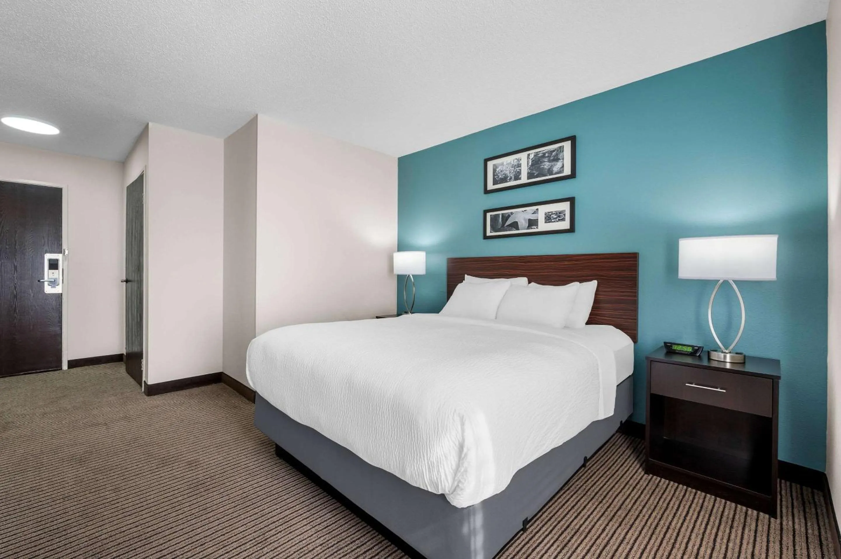 Queen Room - Disability Access/Non-Smoking in Sleep Inn Springfield West