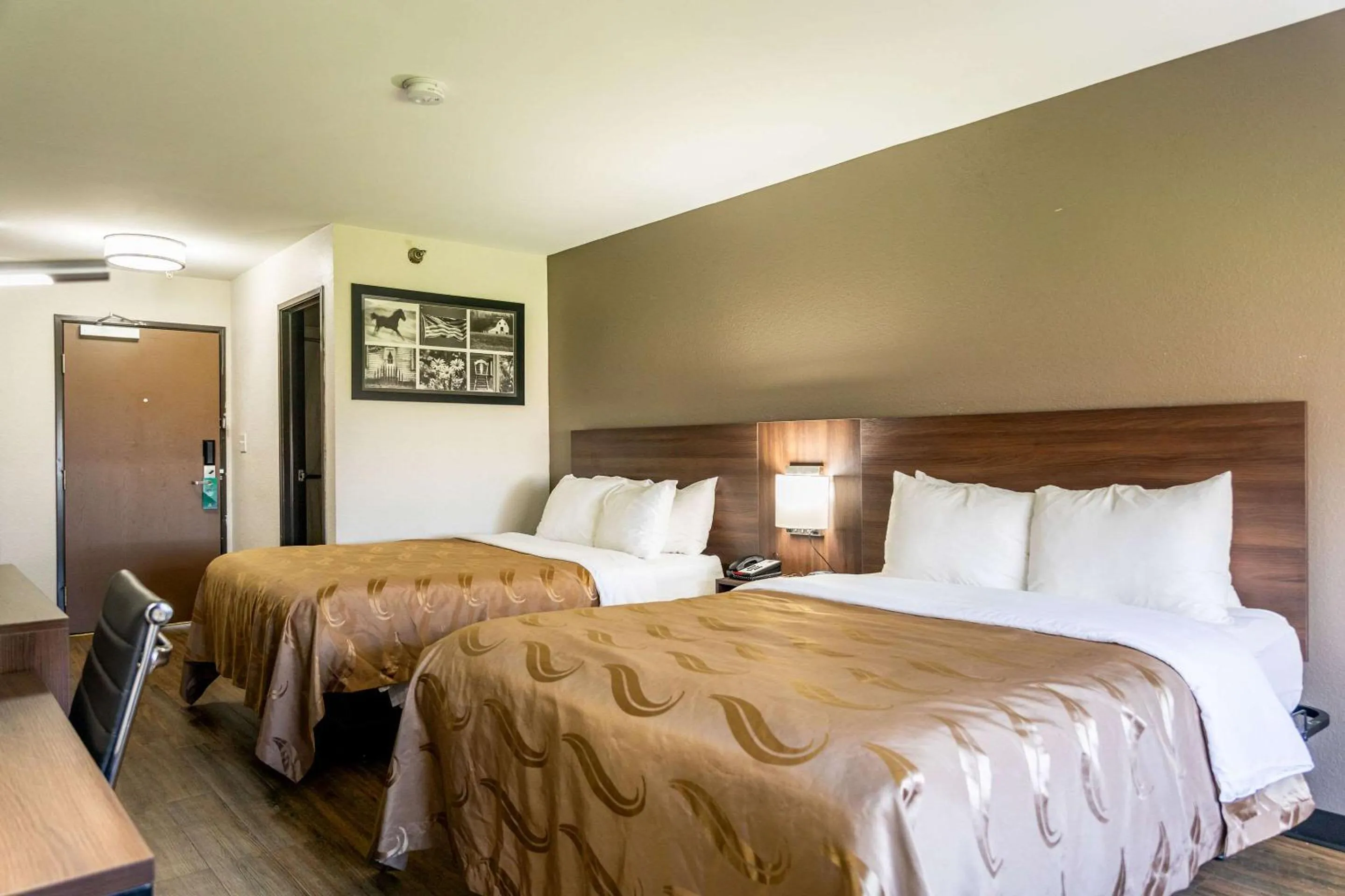 Queen Room with Two Queen Beds - Non-Smoking in Quality Inn Carrollton