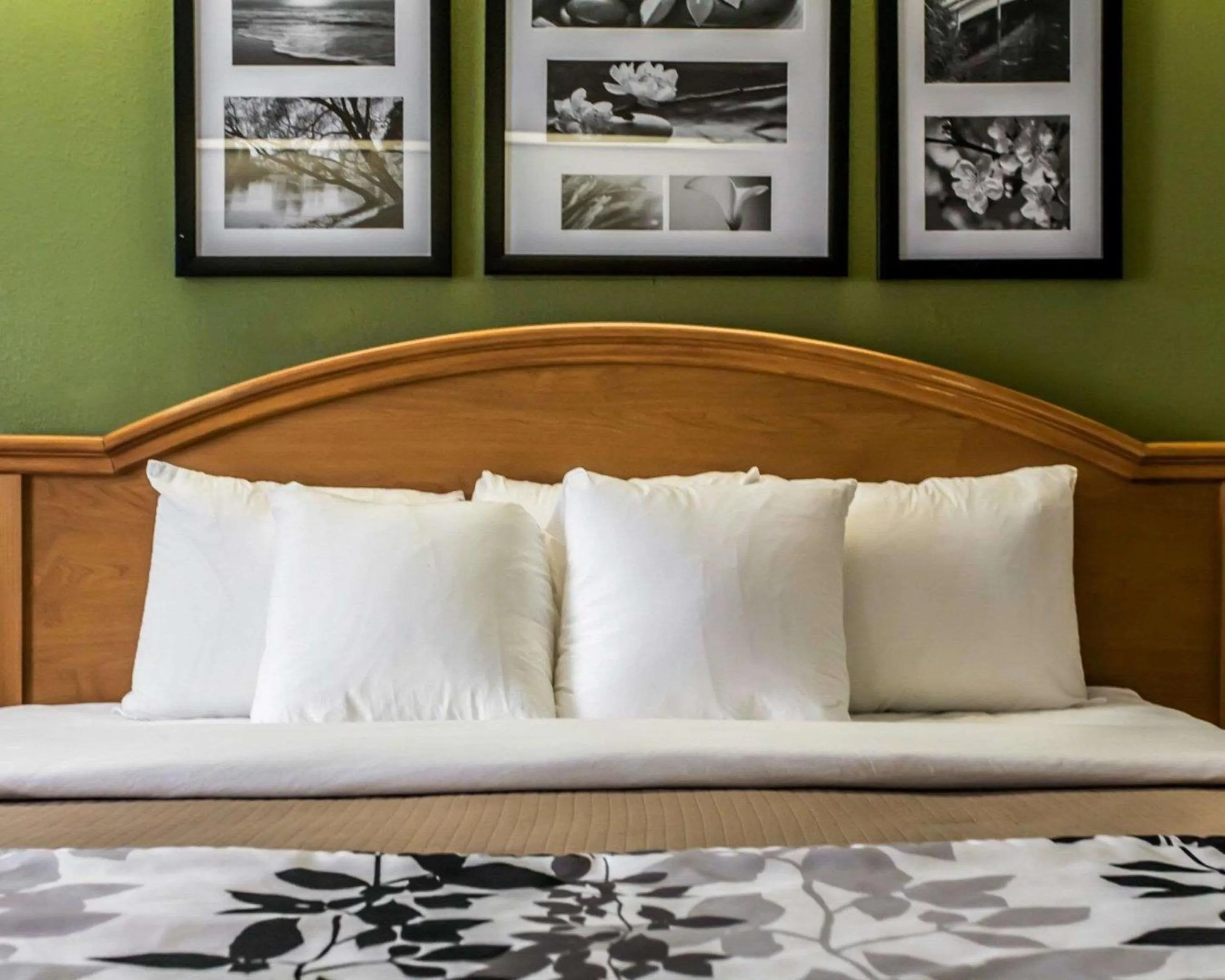 King Room - Non-Smoking in Sleep Inn Slidell