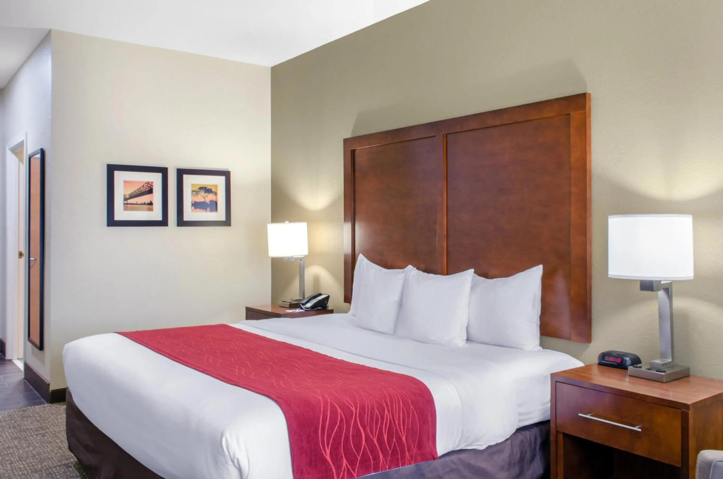 King Room with Hand Rails-Bathroom - Accessible/Non-Smoking in Comfort Inn & Suites Covington - Mandeville