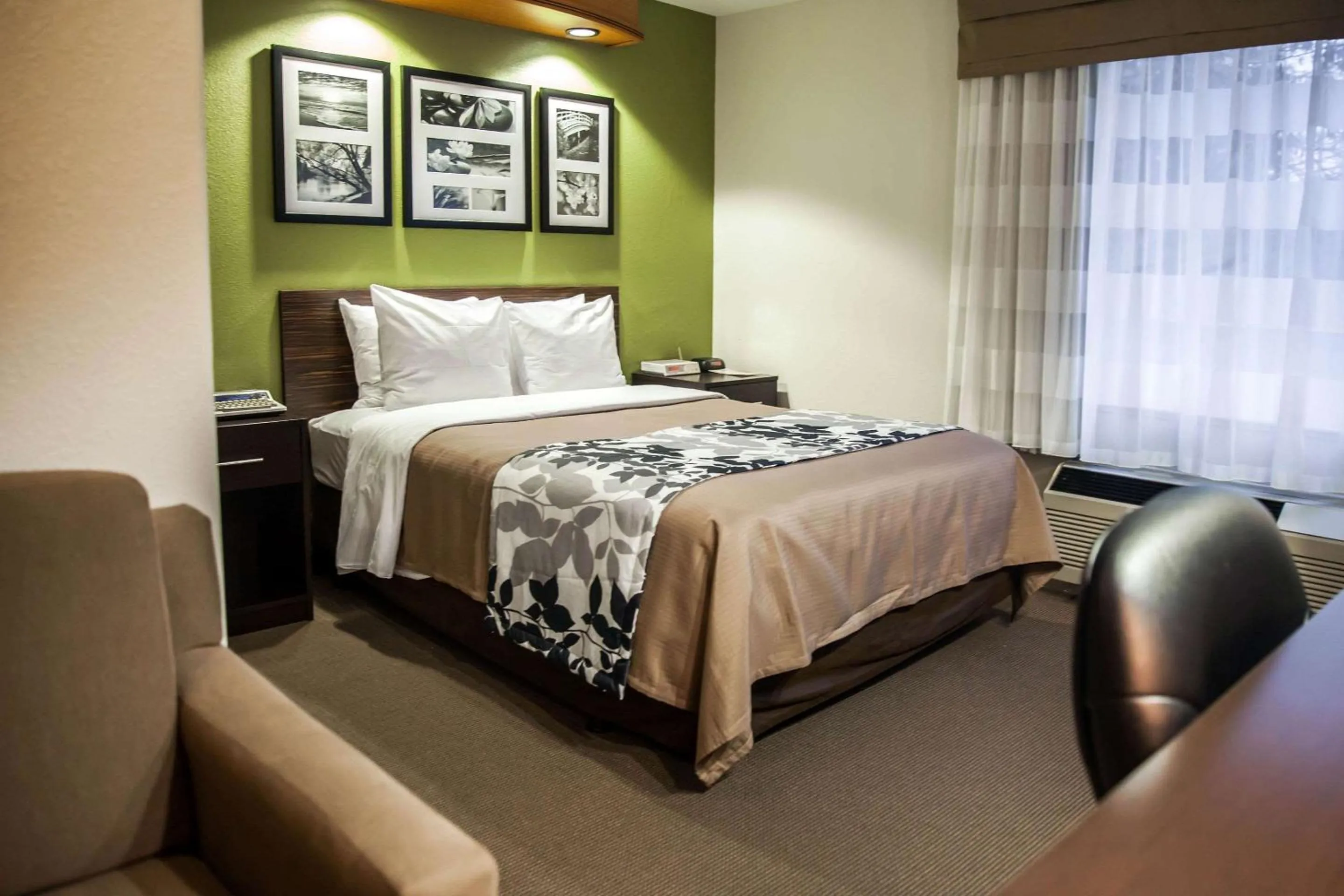 Queen Room with Mobility Accessible - Accessible/Non-Smoking in Sleep Inn & Suites