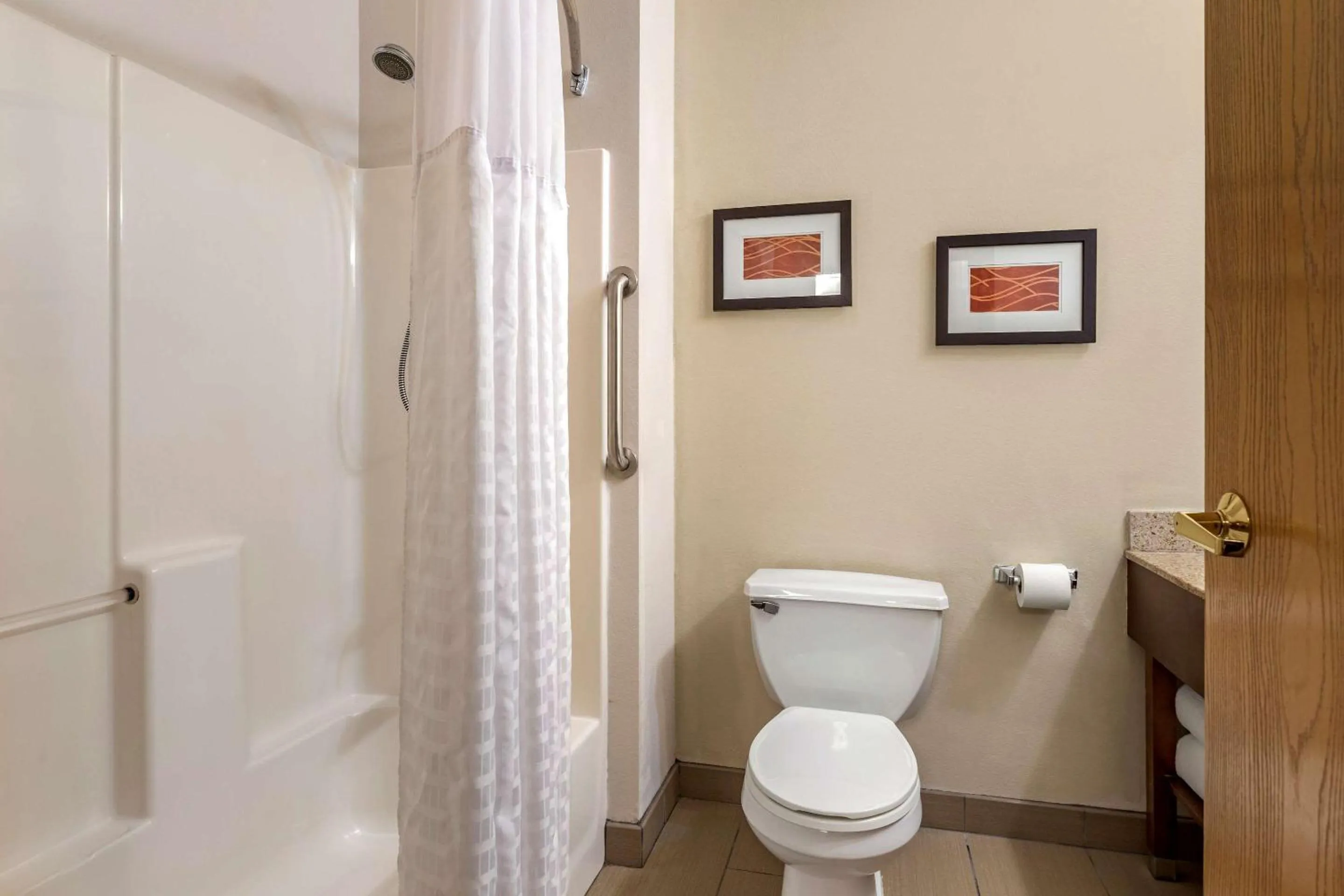 King Suite - Efficiency/Non-Smoking in Comfort Inn & Suites Paw Paw