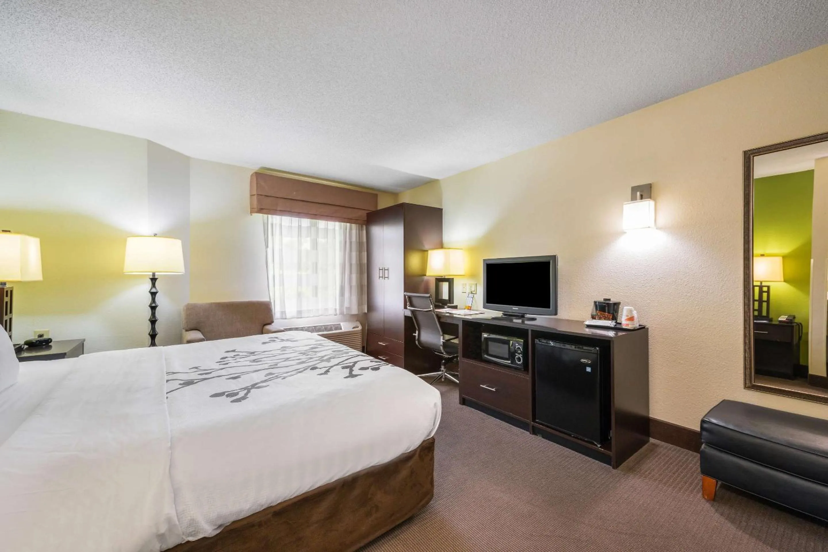 Standard King Room - Non-Smoking  in Sleep Inn Statesville I-40