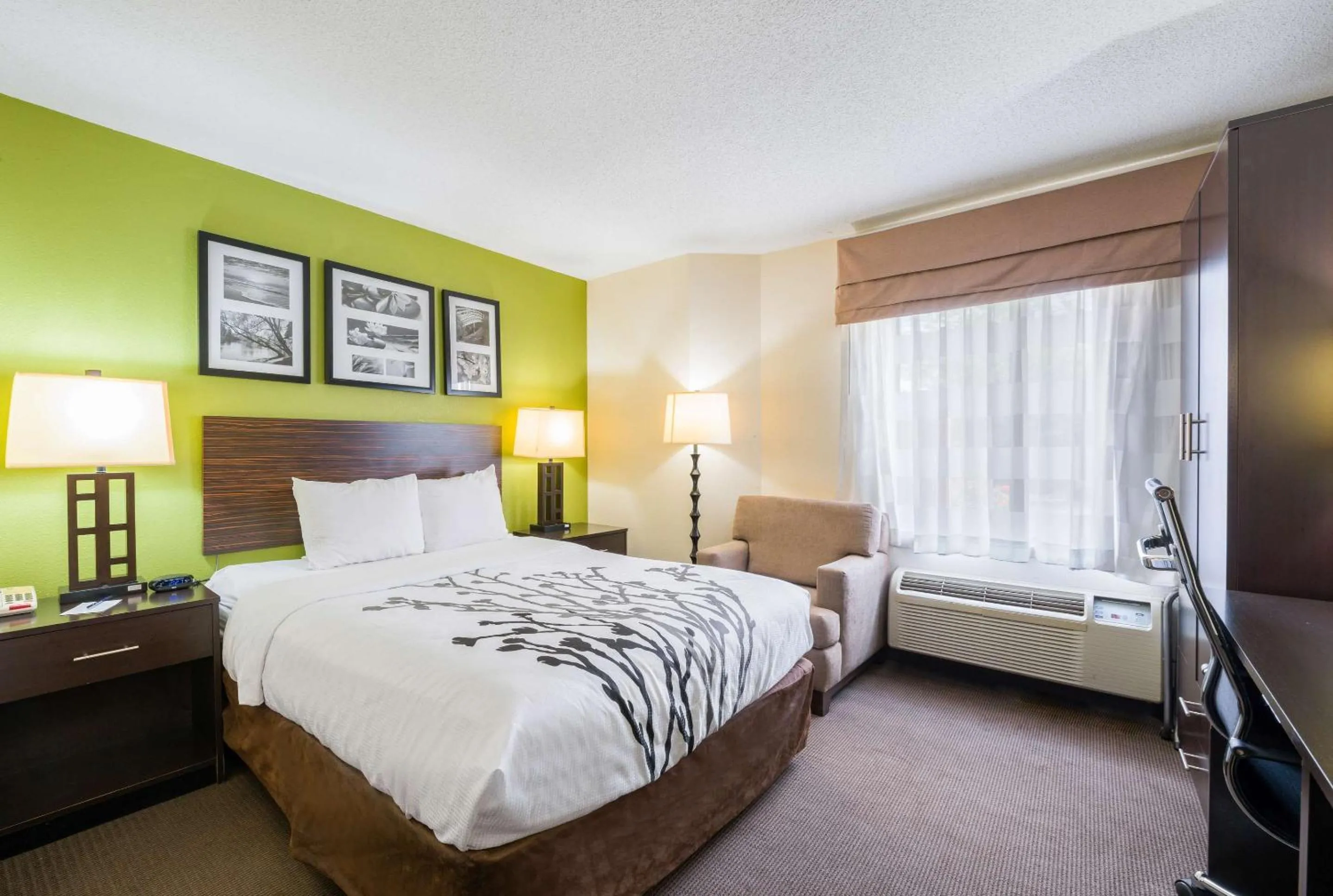Queen Room - Accessible/Non-Smoking in Sleep Inn Statesville I-40