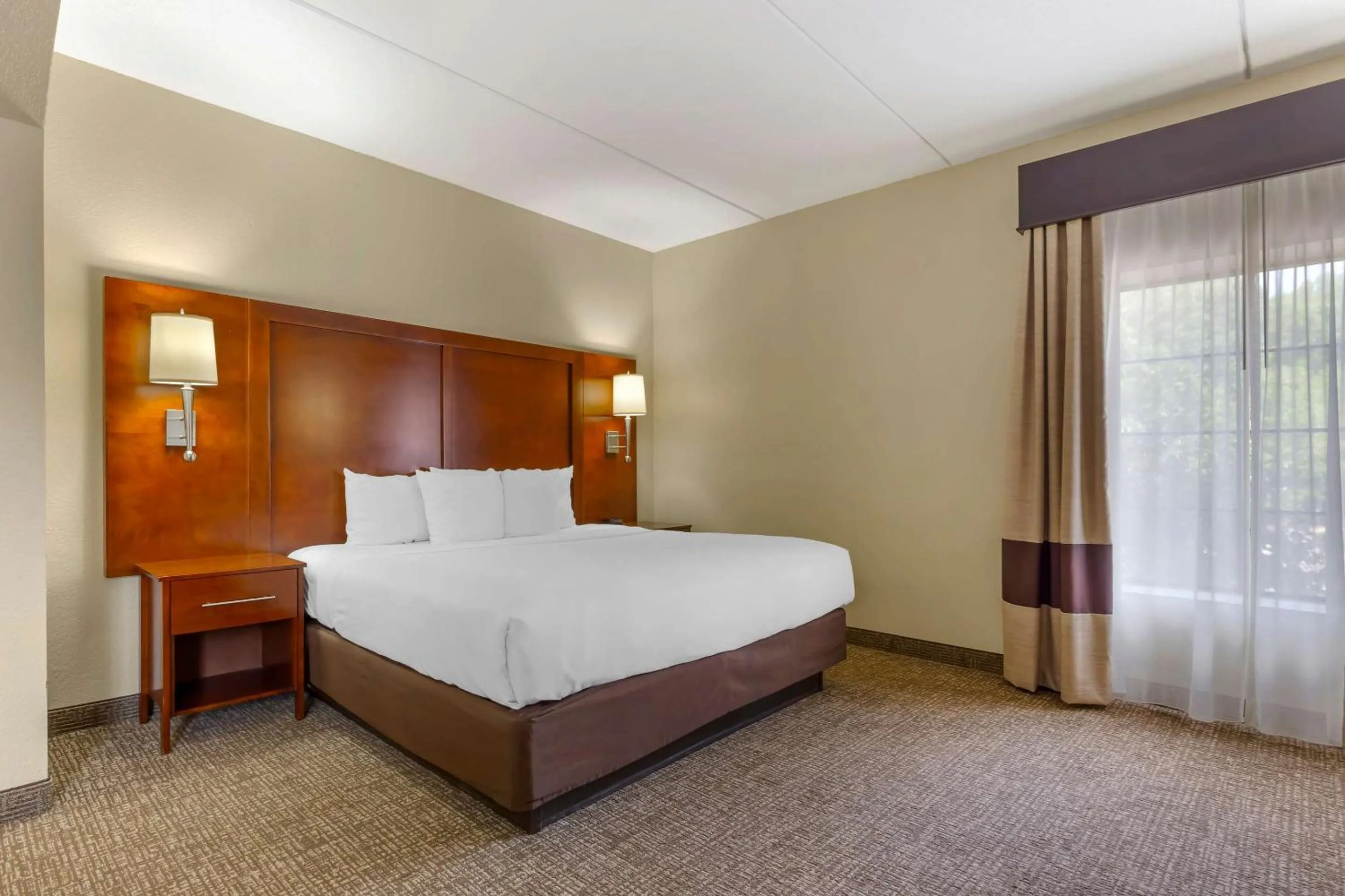 Executive King Suite - Non-Smoking in Comfort Suites Regency Park