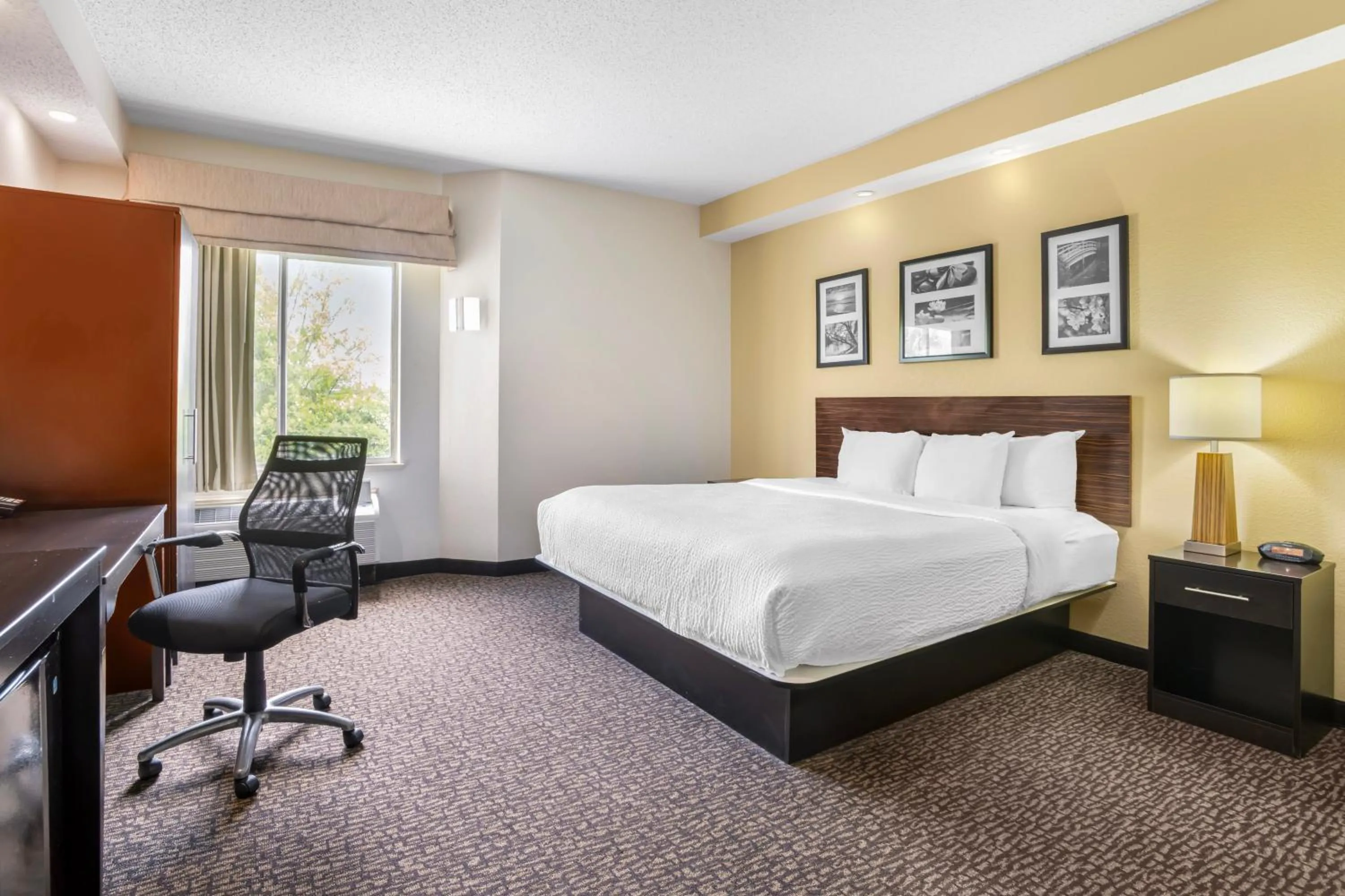 King Suite with King Bed Two Double Beds and Sofa - Non Smoking in Sleep Inn & Suites at Concord Mills