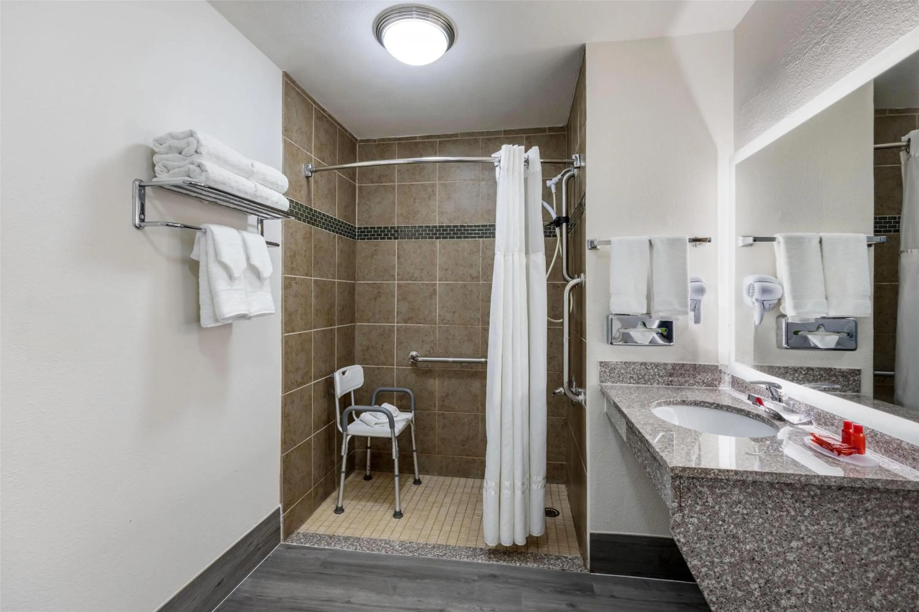 Queen Room with Roll-in Shower - Non-Smoking/Disability Access in SureStay Plus Hotel by Best Western Asheboro