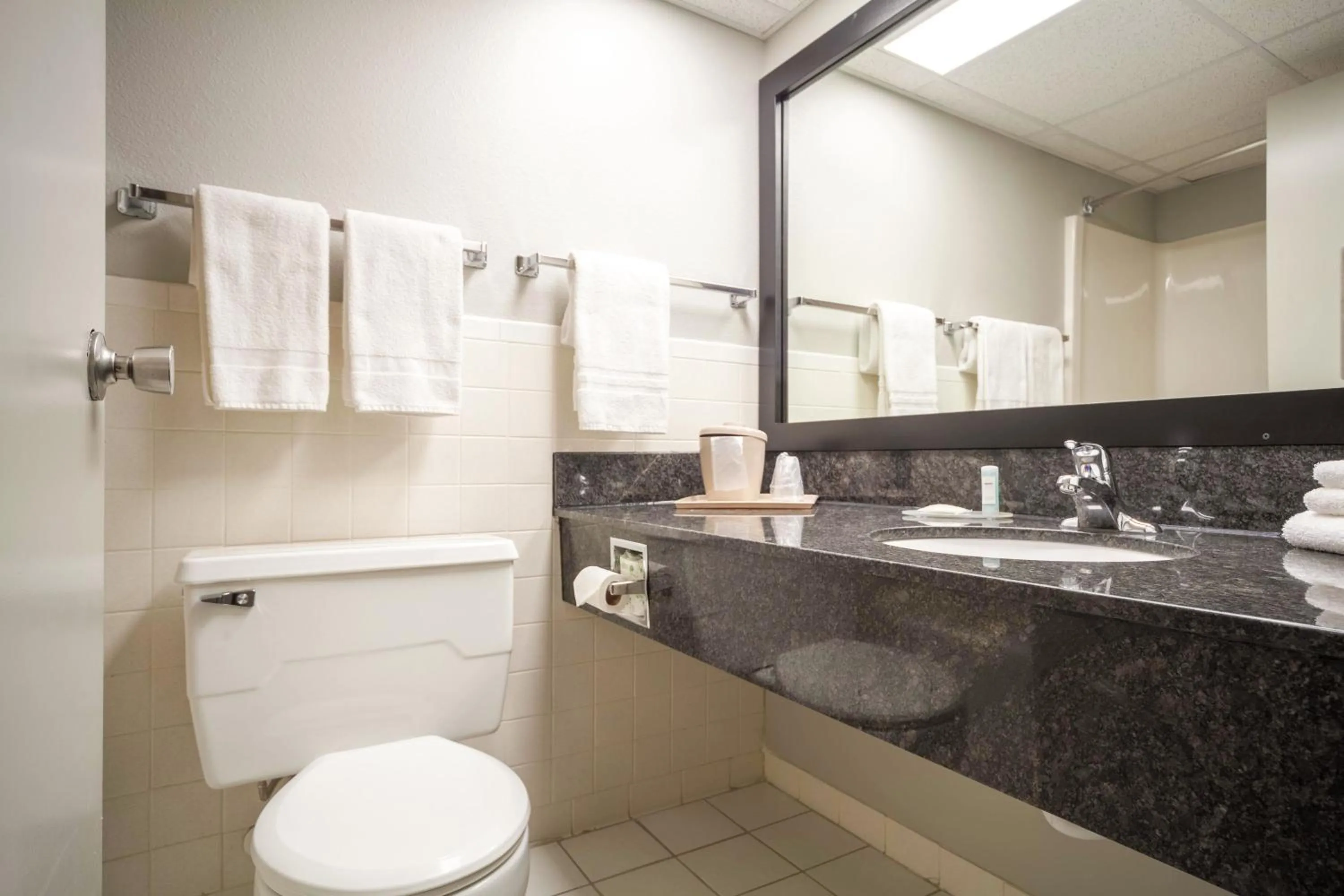 King Room with Sofa Bed - Non-Smoking in Quality Inn and Conference Center I-80 Grand Island