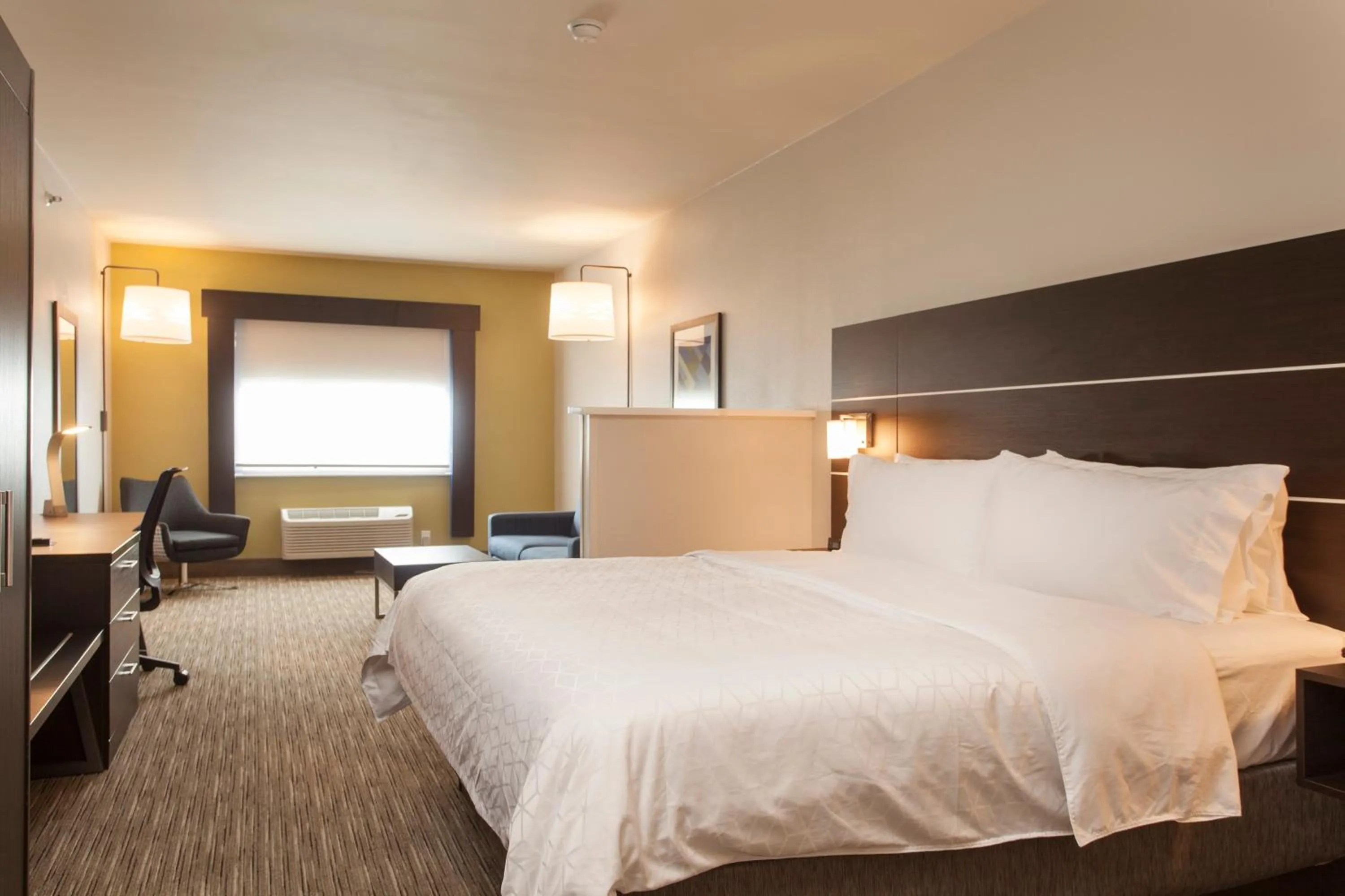 King Executive Suite in Holiday Inn Express & Suites - Santa Fe by IHG