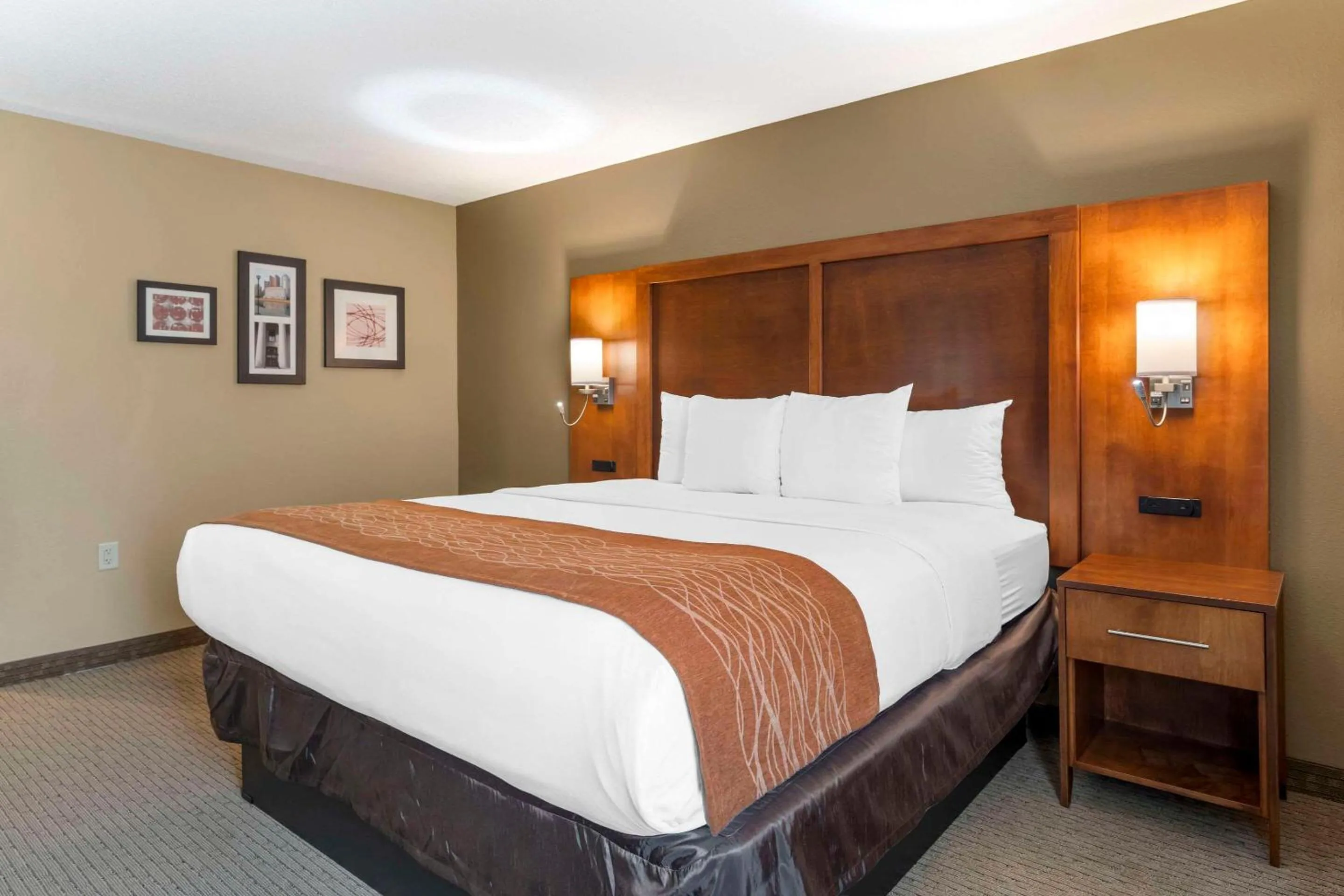 Standard King Room - Non-Smoking  in Comfort Inn North-Polaris