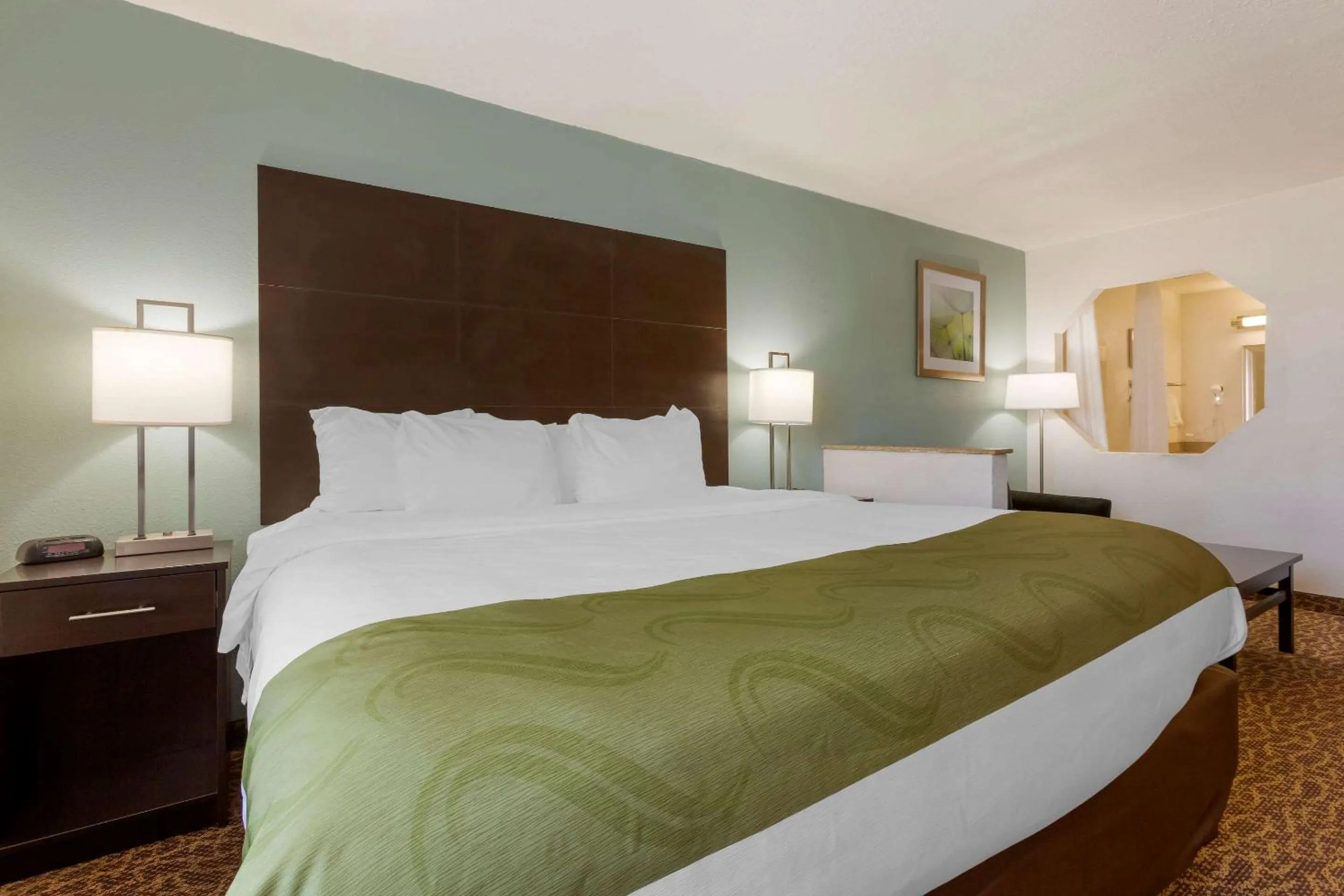 King Room with Roll-In Shower - Accessible/Non Smoking in Quality Inn Alexis Rd