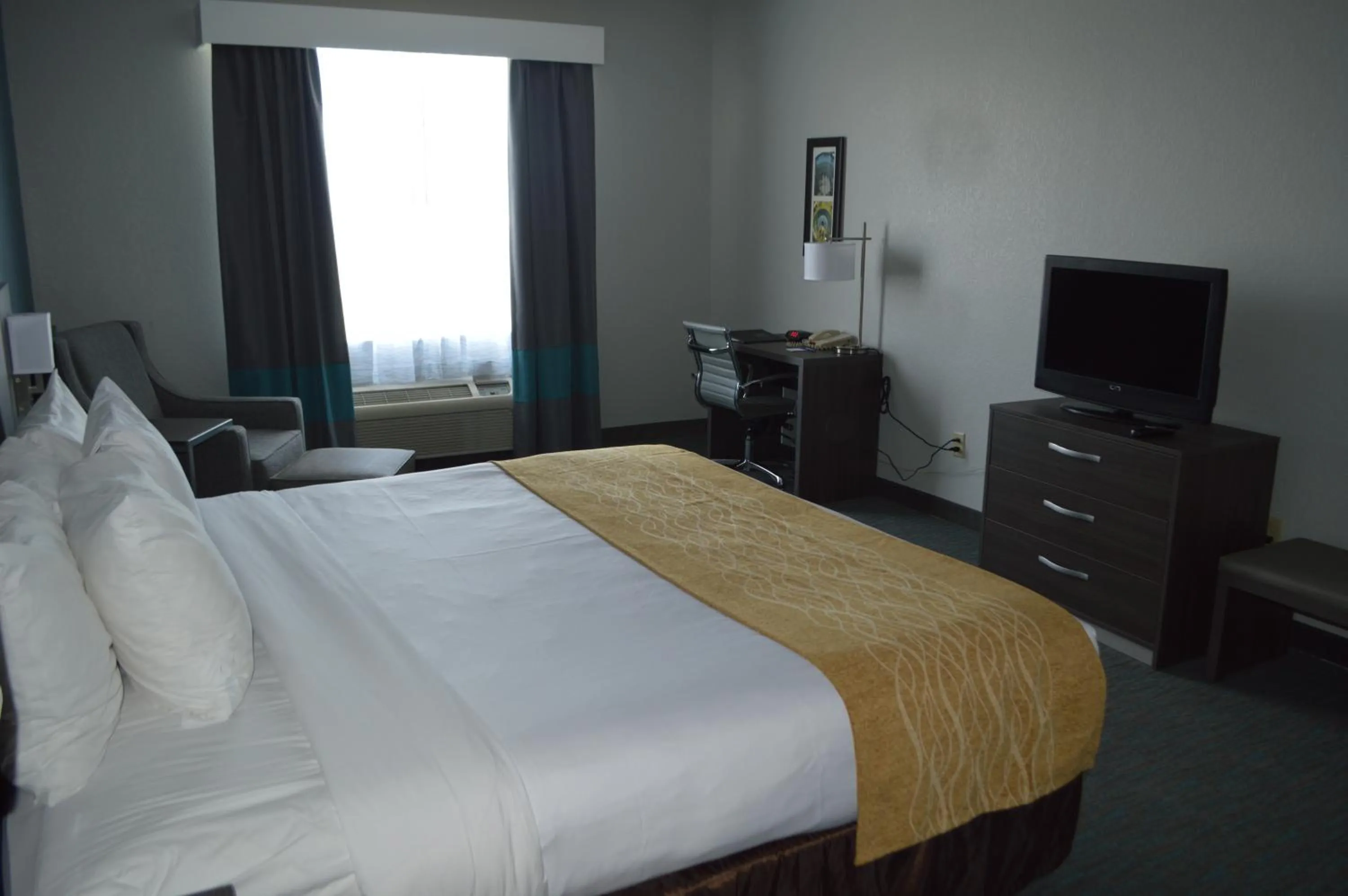 King Room with Roll-In Shower - Accessible/Non-Smoking in Spark by Hilton Selma