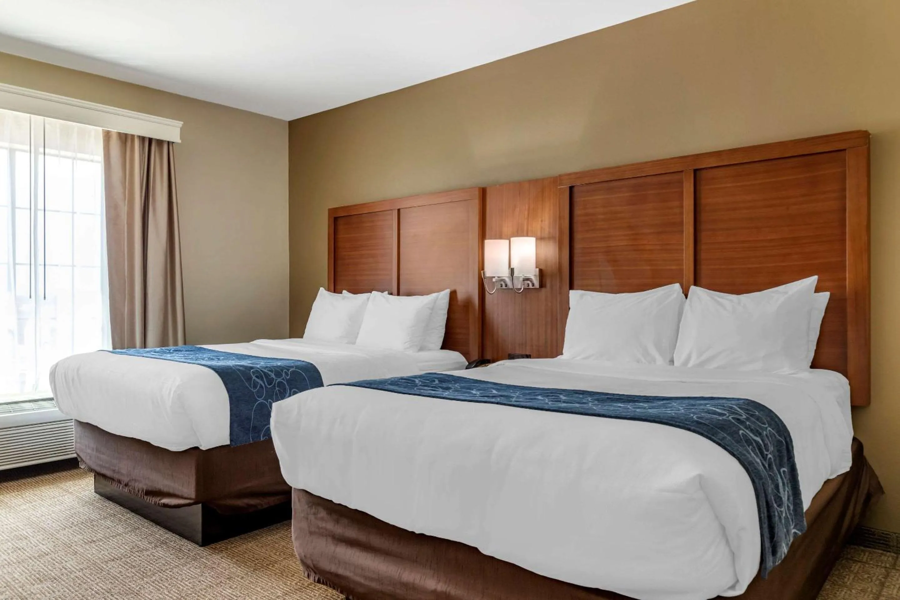 Efficiency Queen Suite with Two Queen Beds - Accessible/Non-Smoking in Comfort Suites Buda - Austin South