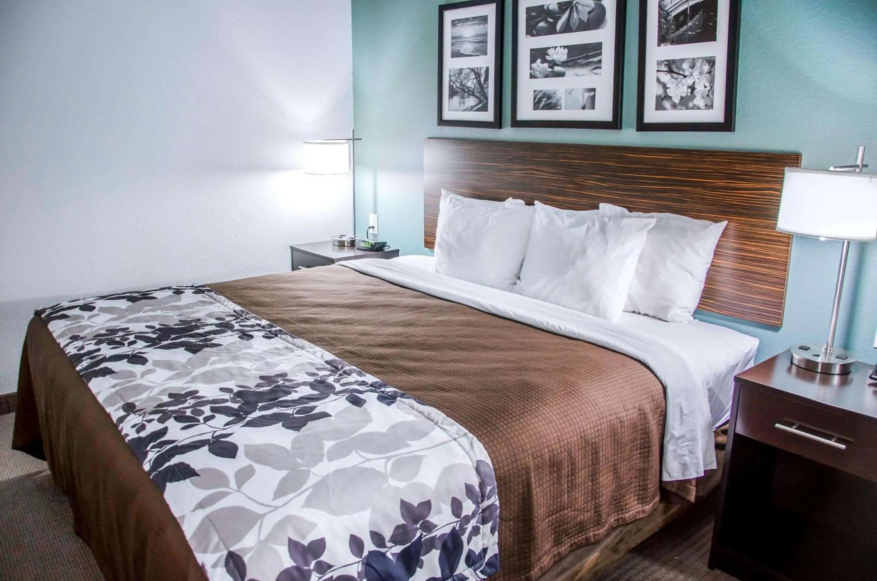 King Room - Non-Smoking in Sleep Inn & Suites Center