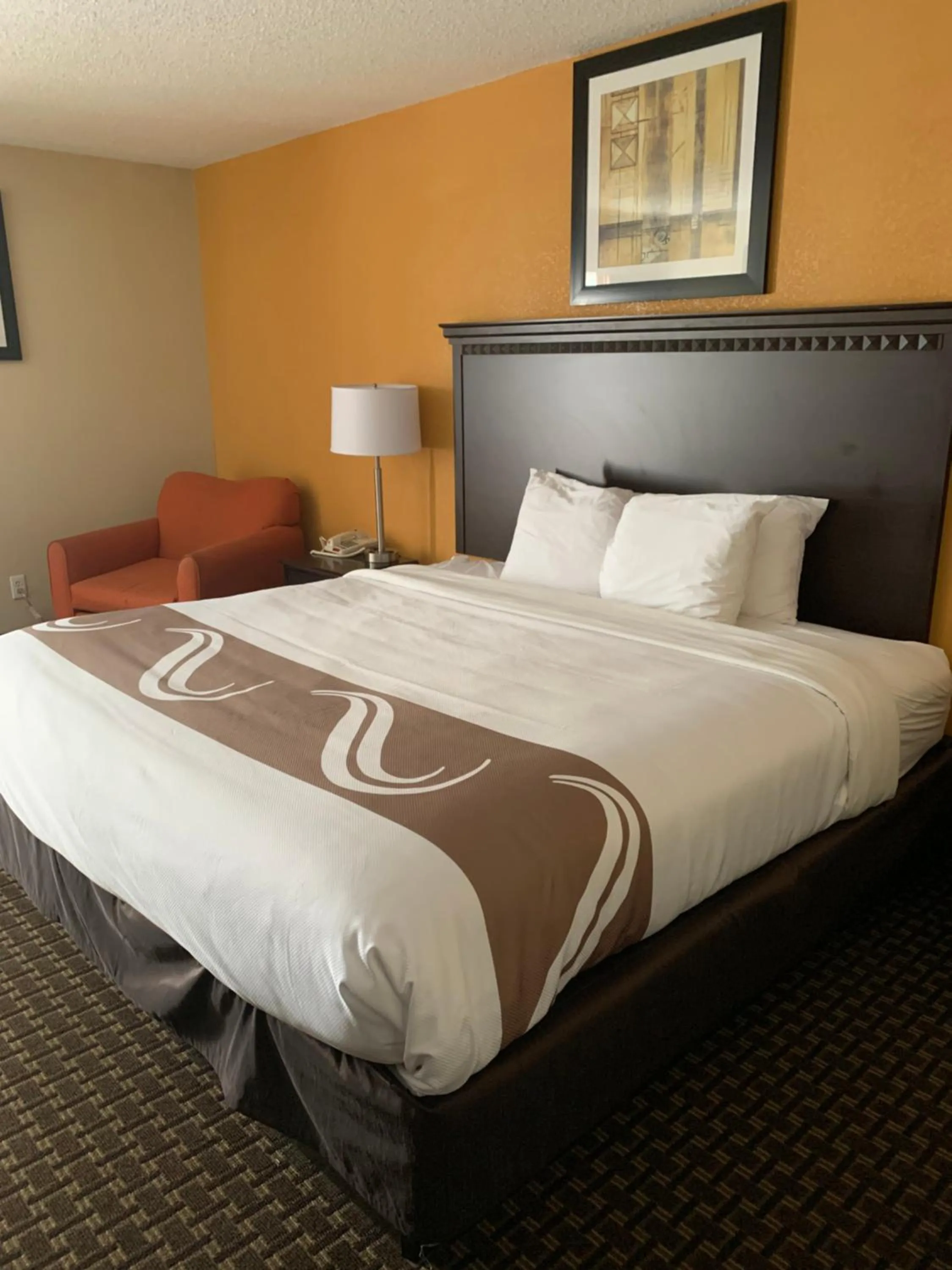 SNK 1 King Bed, Non Smoking in Quality Inn & Suites Quantico