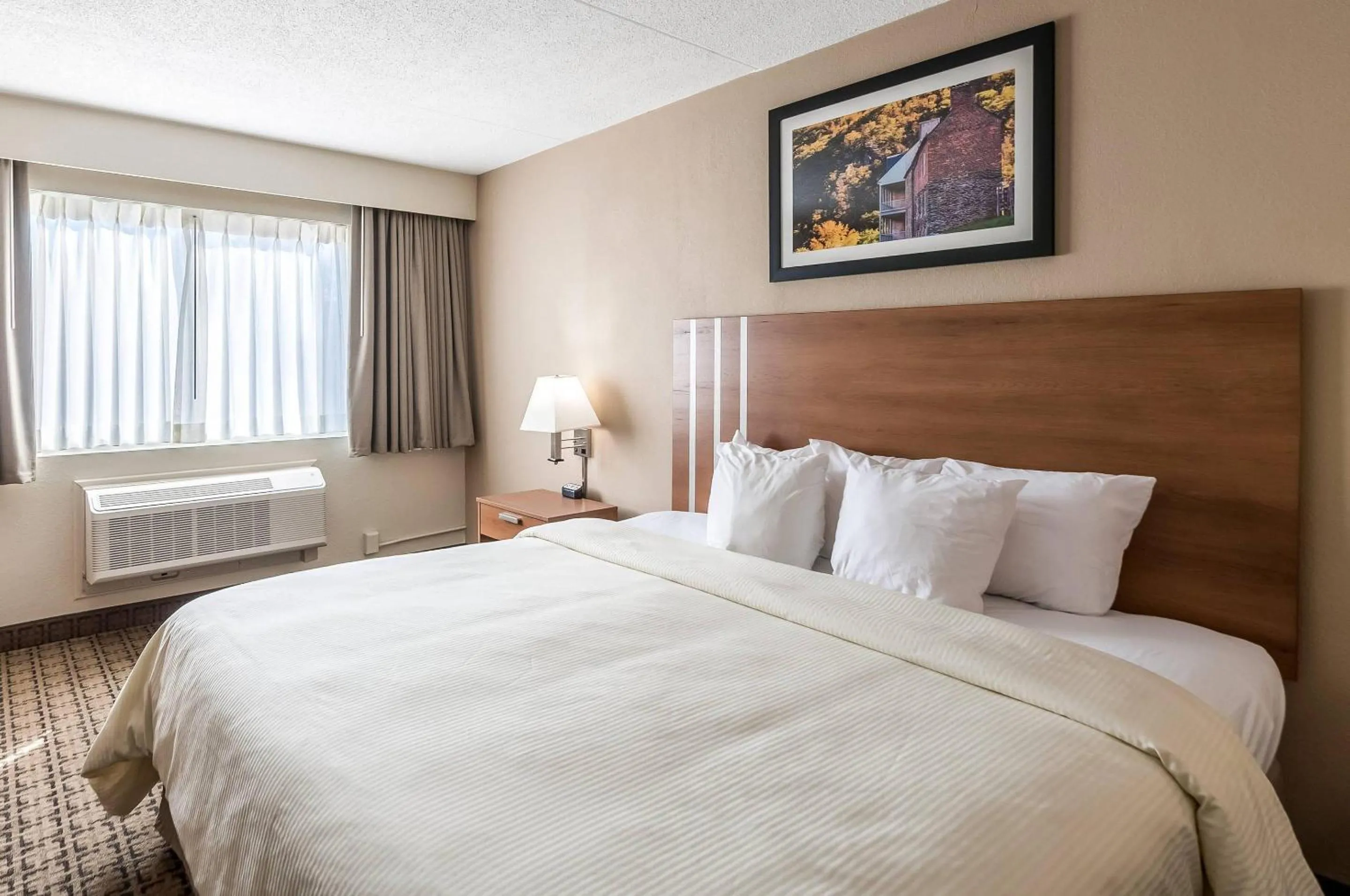 Standard King Room - Non-Smoking  in Clarion Inn Harpers Ferry-Charles Town