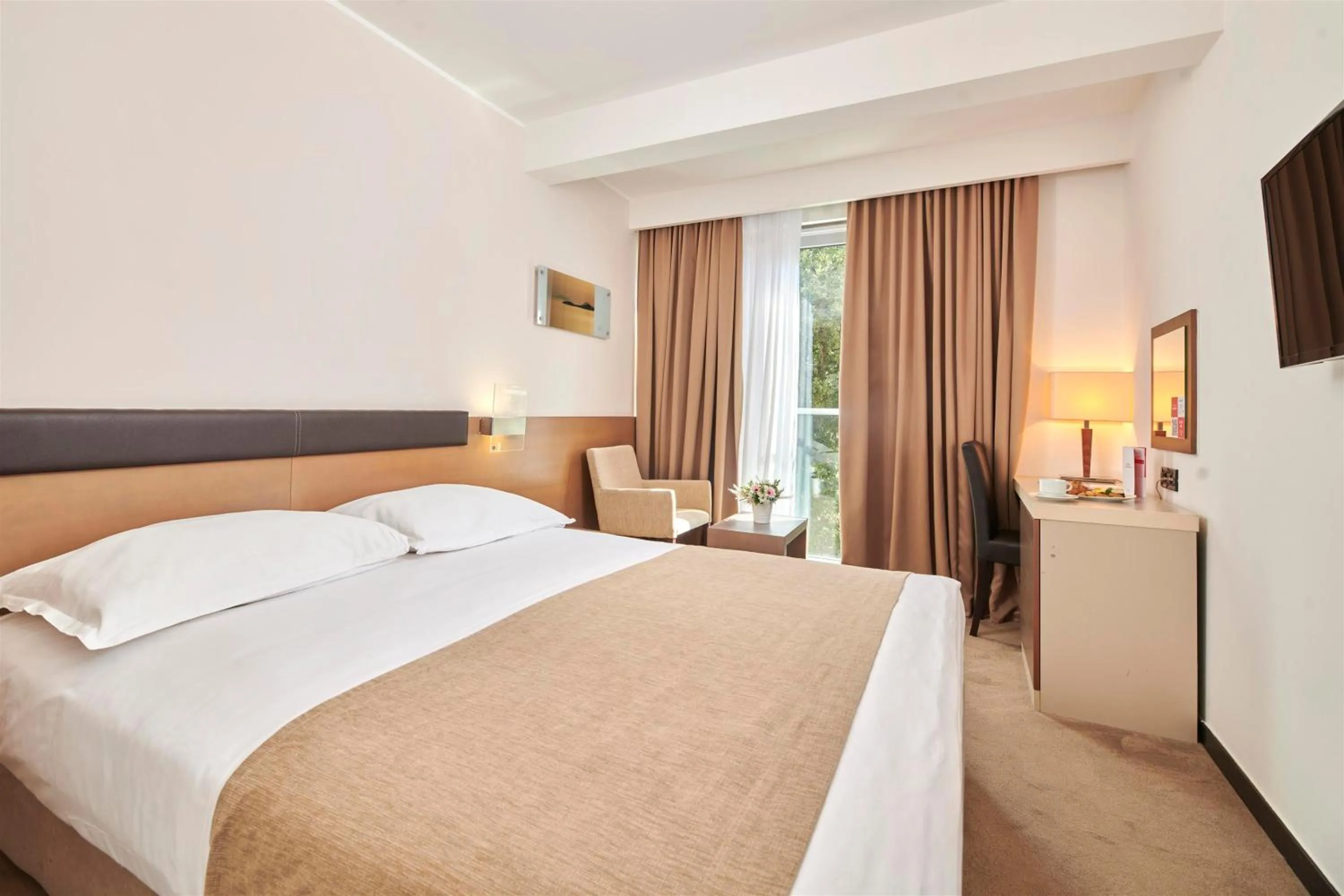 Economy Room in Hotel Molindrio Plava Laguna