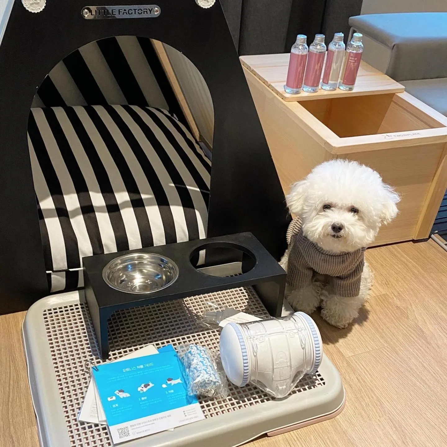 [Pet Friendly] Sky Royal - A/B Type Randomly Assign in Phoenix Resort Pyeongchang
