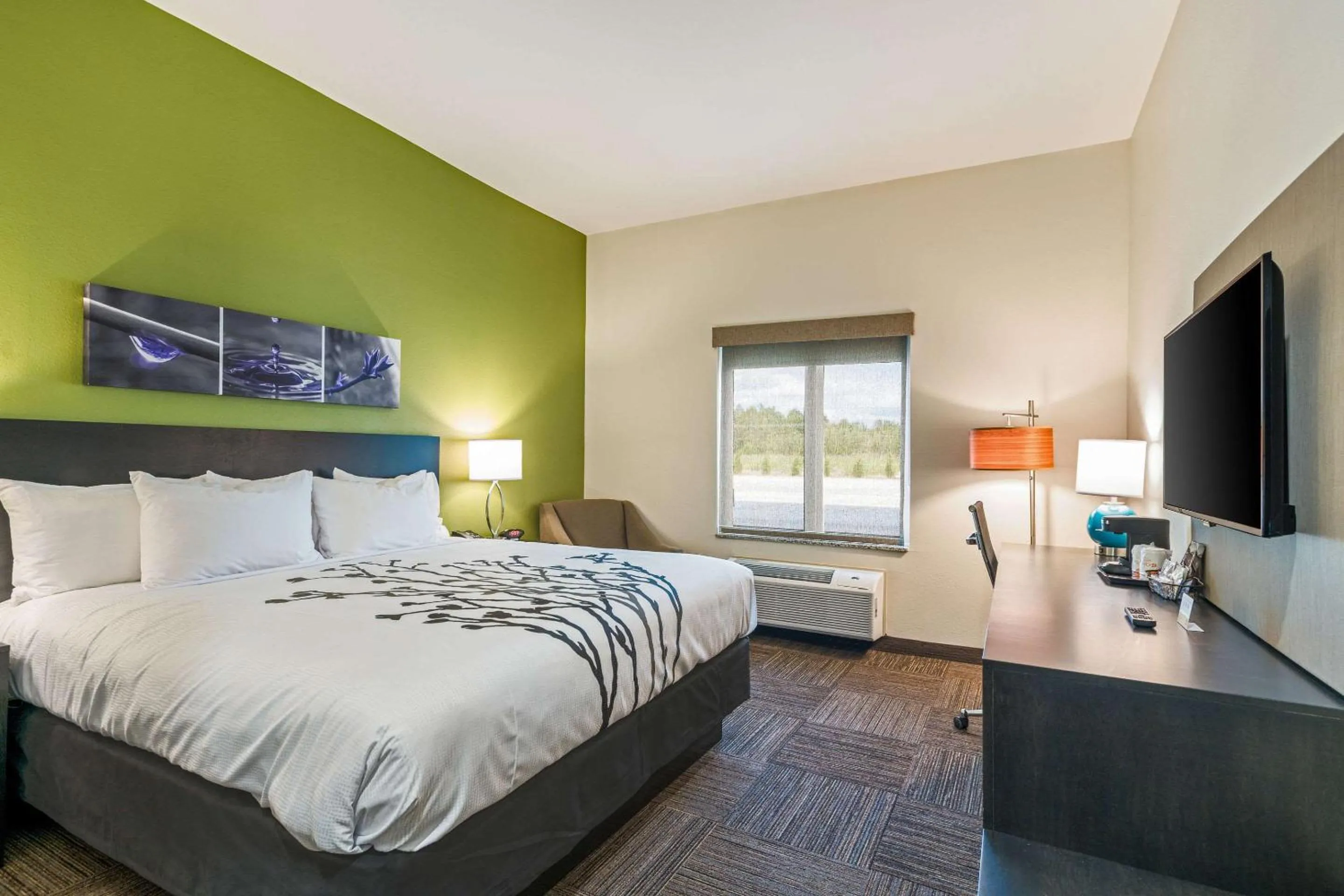 King Room - Mobility Accessible/Non-Smoking in Sleep Inn Baxley