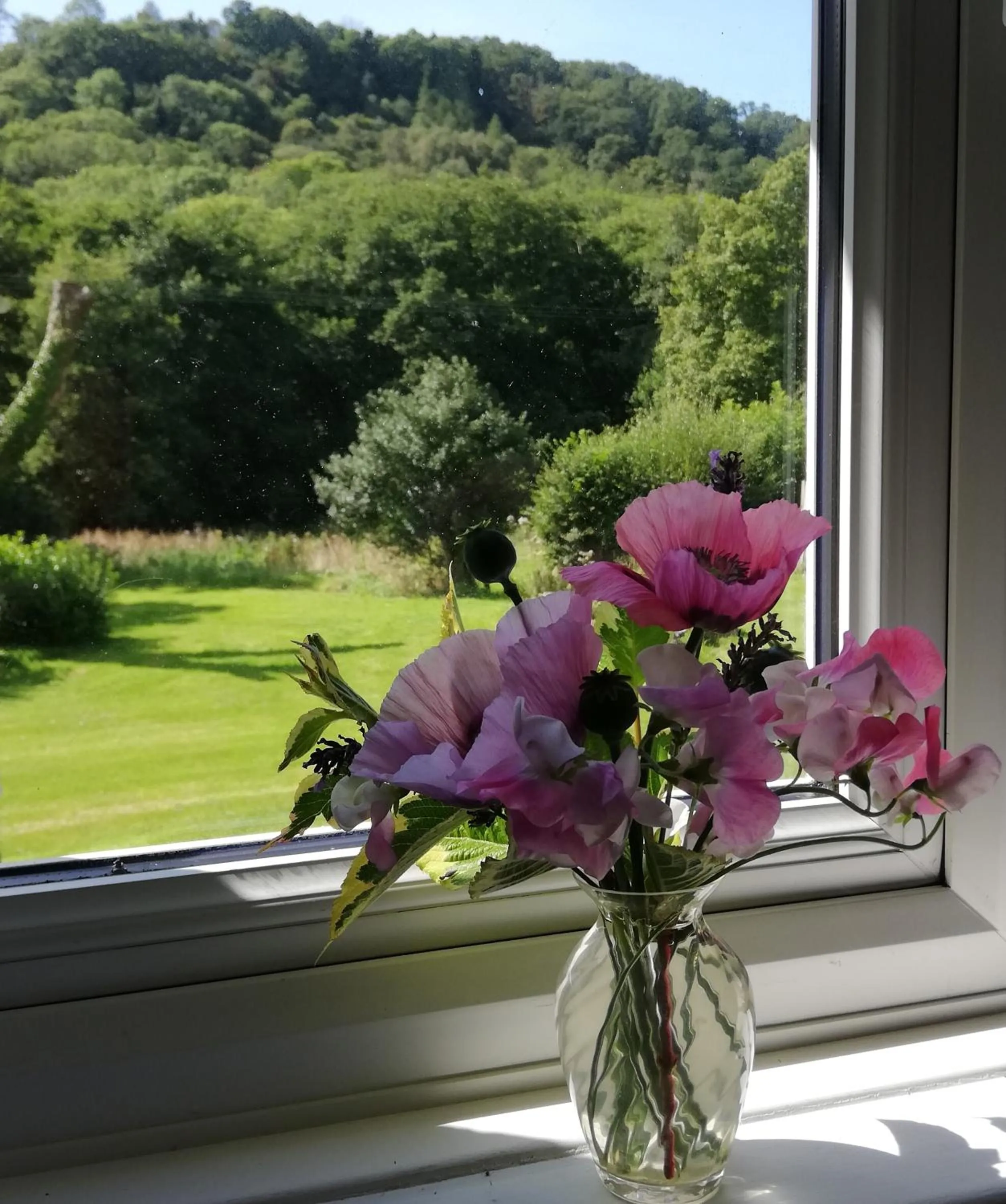 Twin Room with Bathroom - single occupancy in Wray Valley